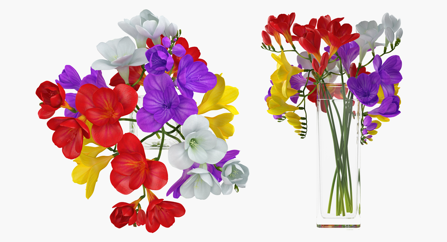 3D Freesia Flowers Bouquet in Vase
