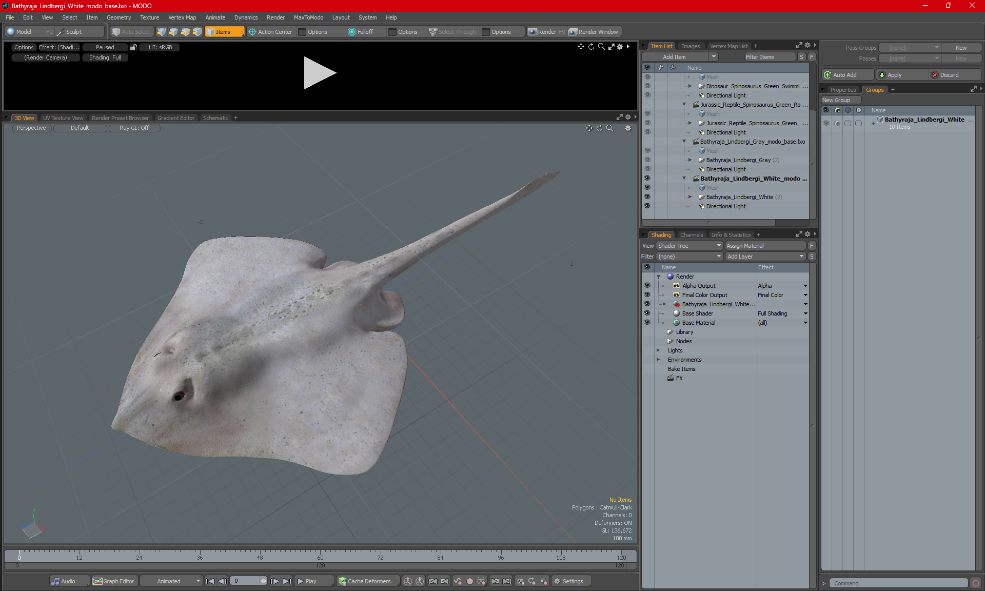 3D model Bathyraja Lindbergi White