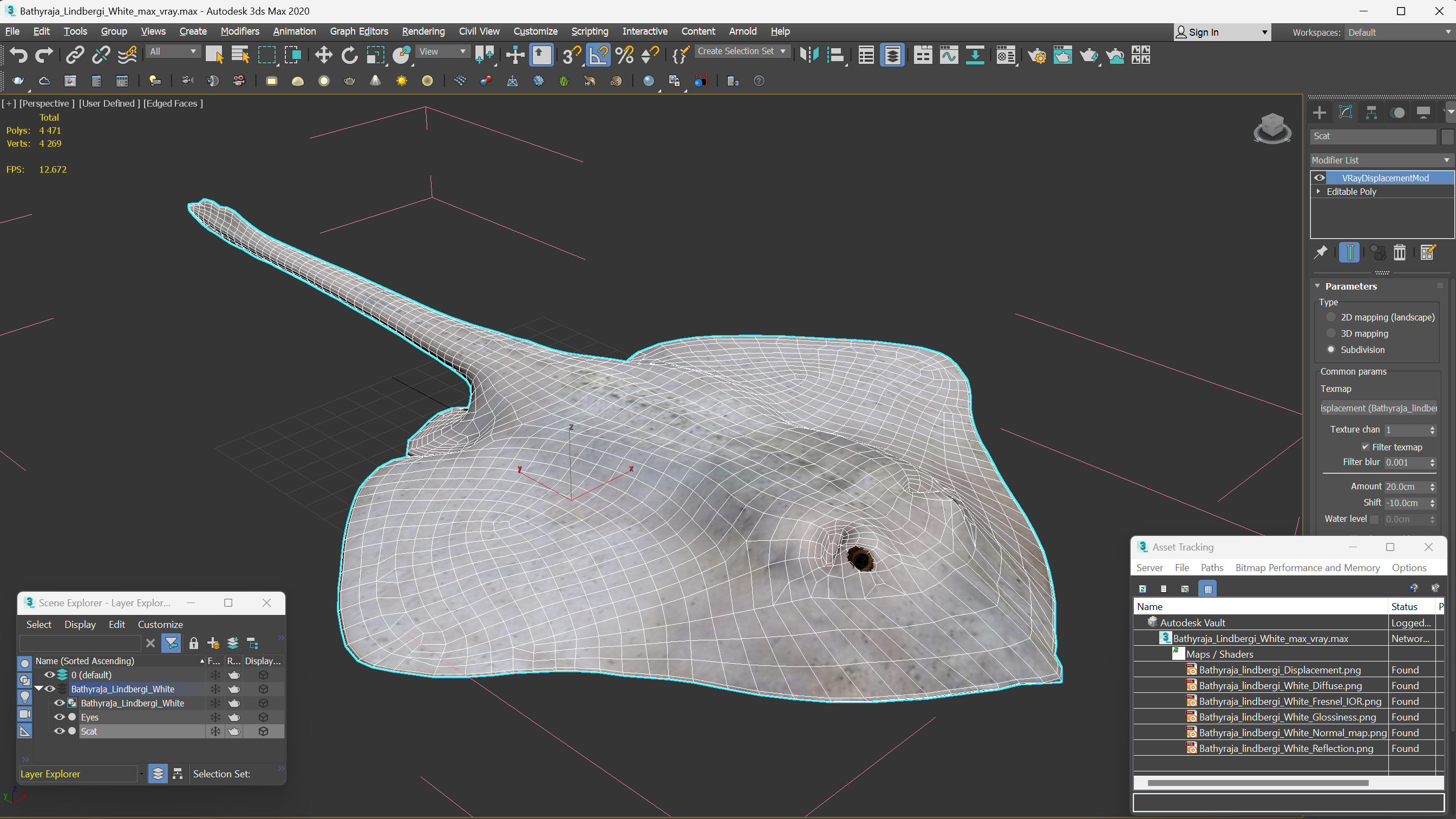 3D model Bathyraja Lindbergi White