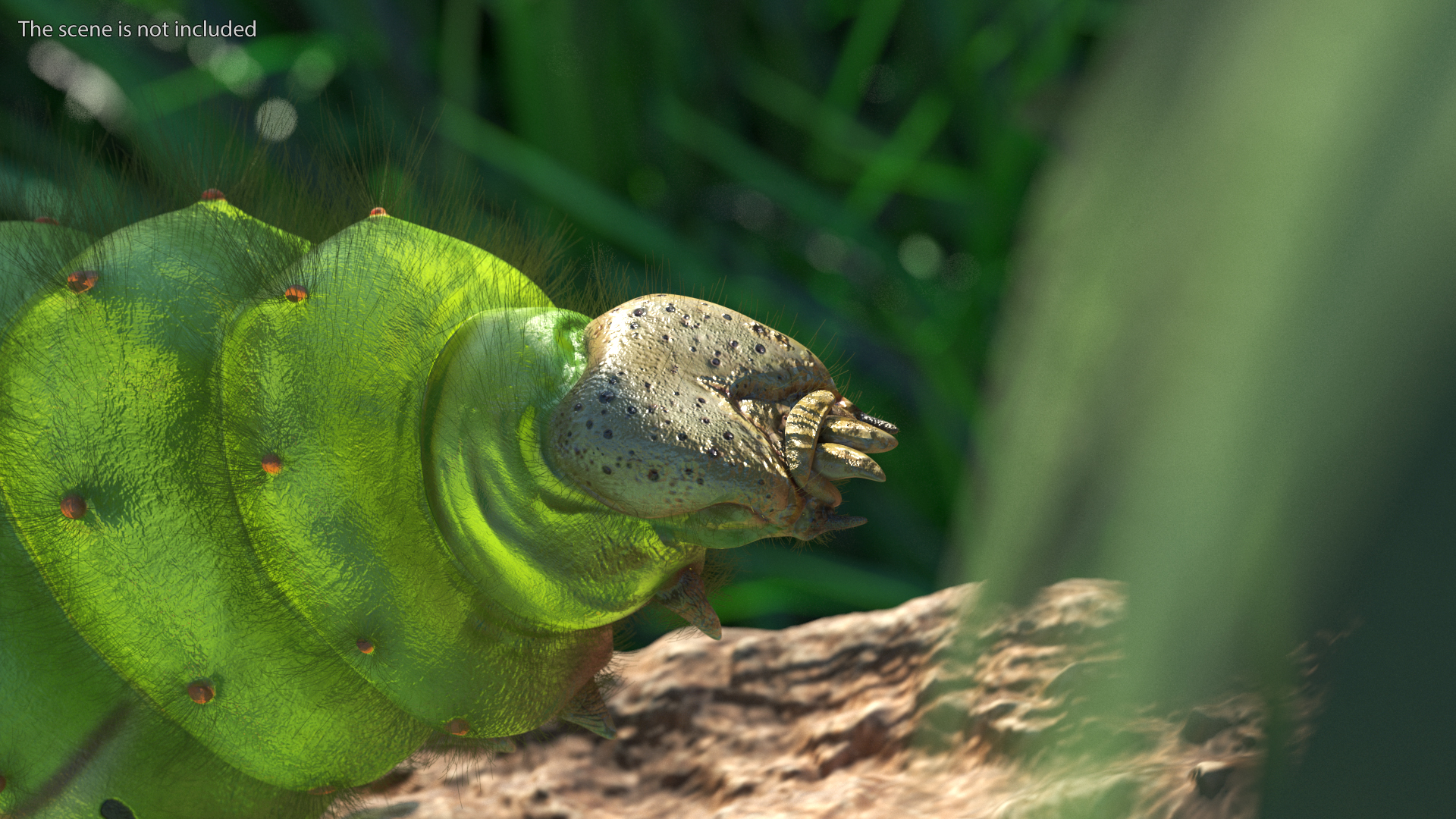 3D model Silkworm Green Fur Rigged