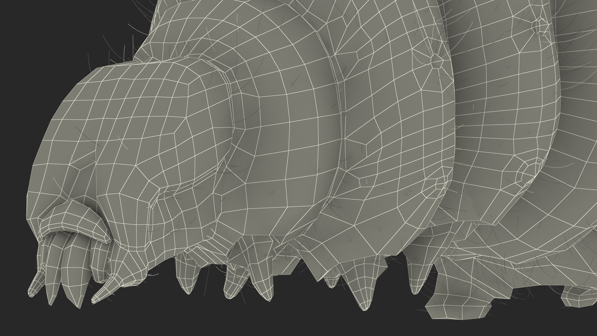3D model Silkworm Green Fur Rigged