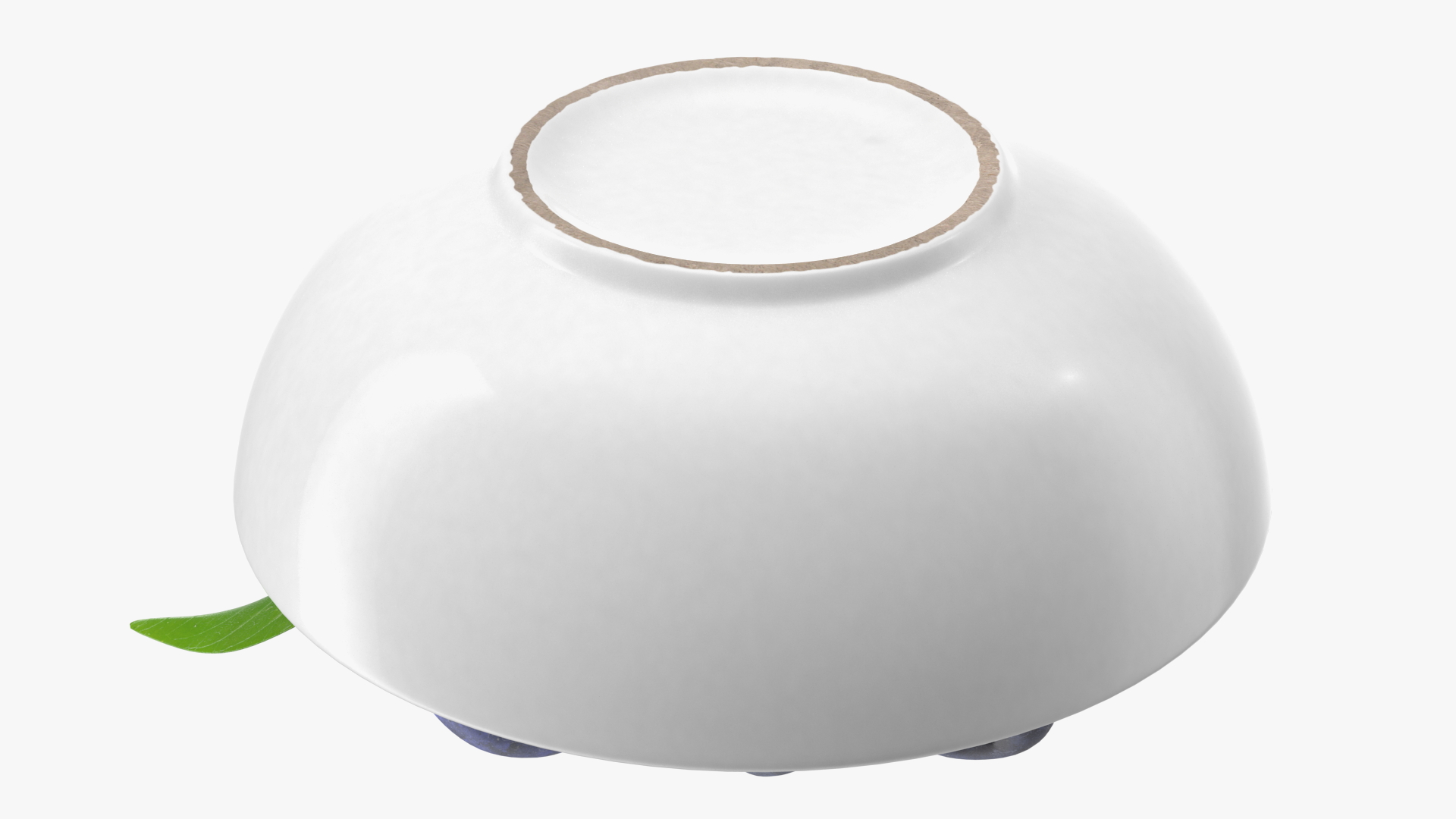 3D model Fresh Blueberries in Bowl