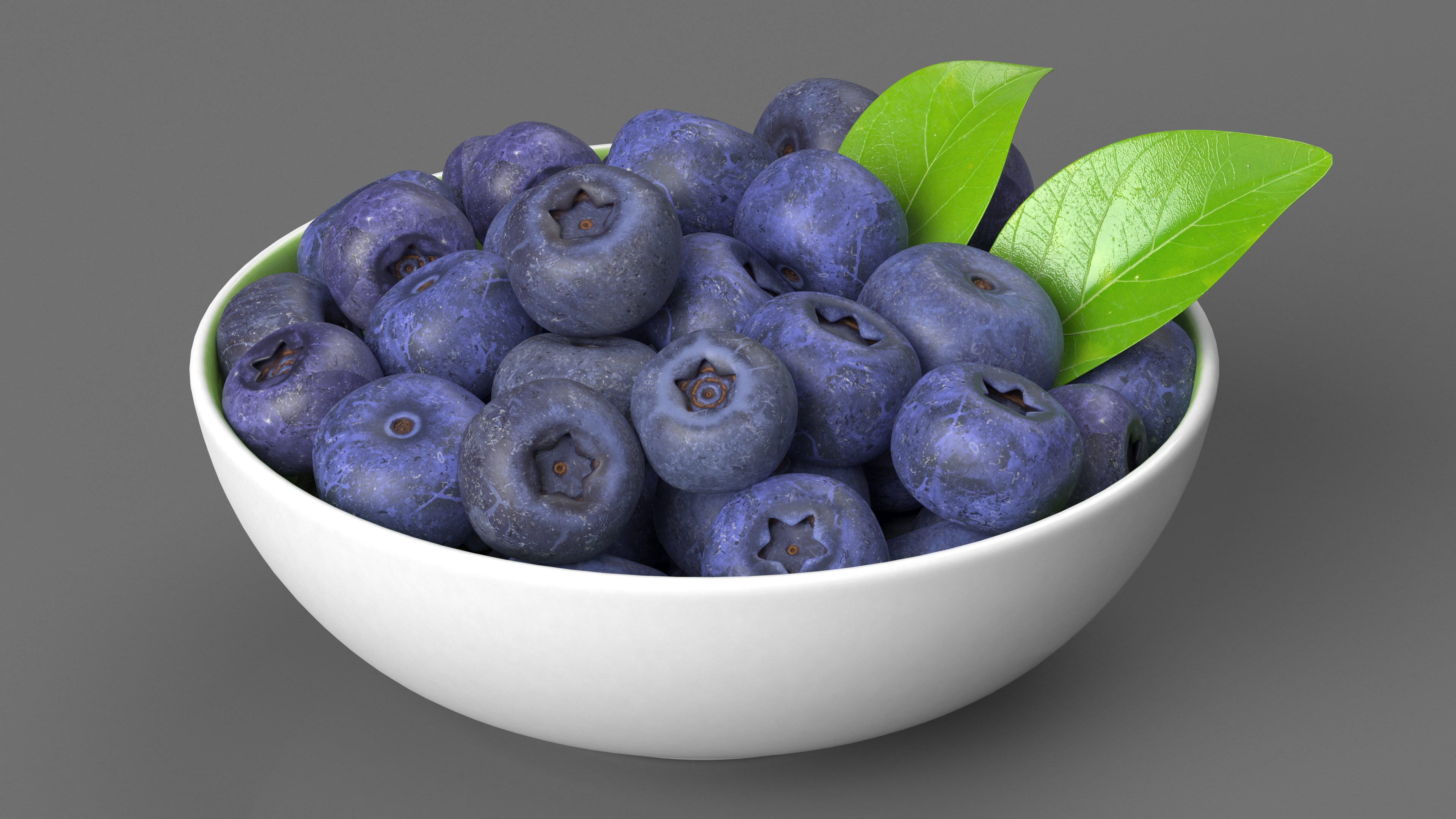 3D model Fresh Blueberries in Bowl