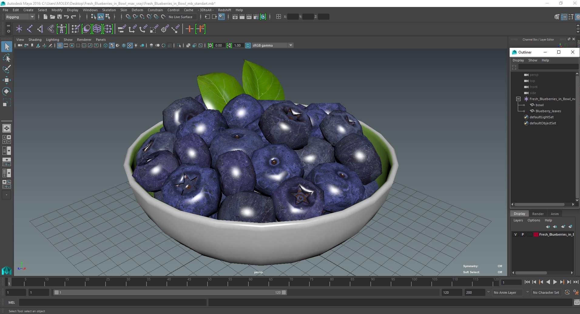 3D model Fresh Blueberries in Bowl