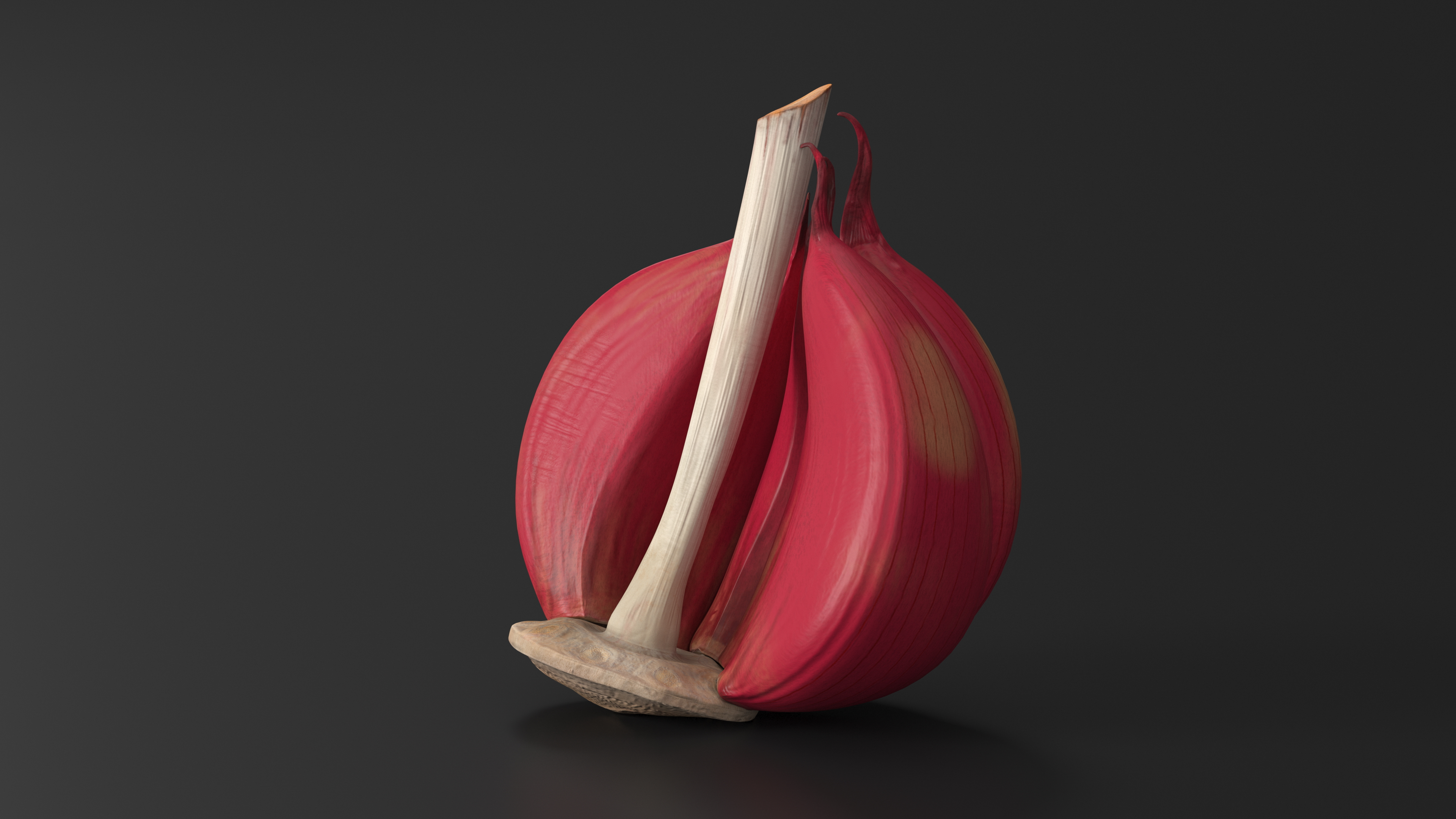 3D Half Head of Garlic Red model