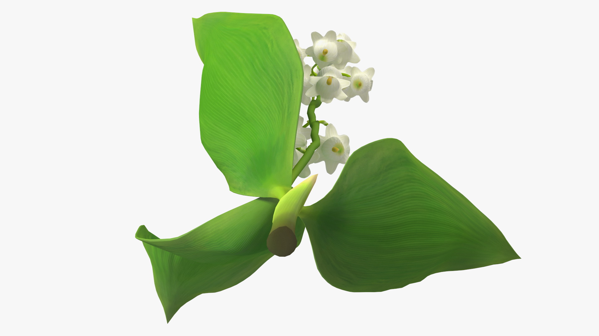 3D model Lily of the Valley Branch
