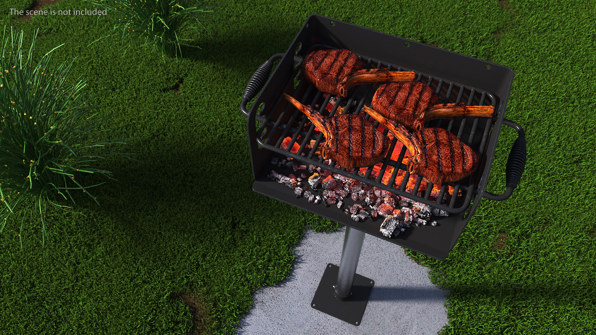 3D Charcoal Grill with BBQ Tomahawk Steak model