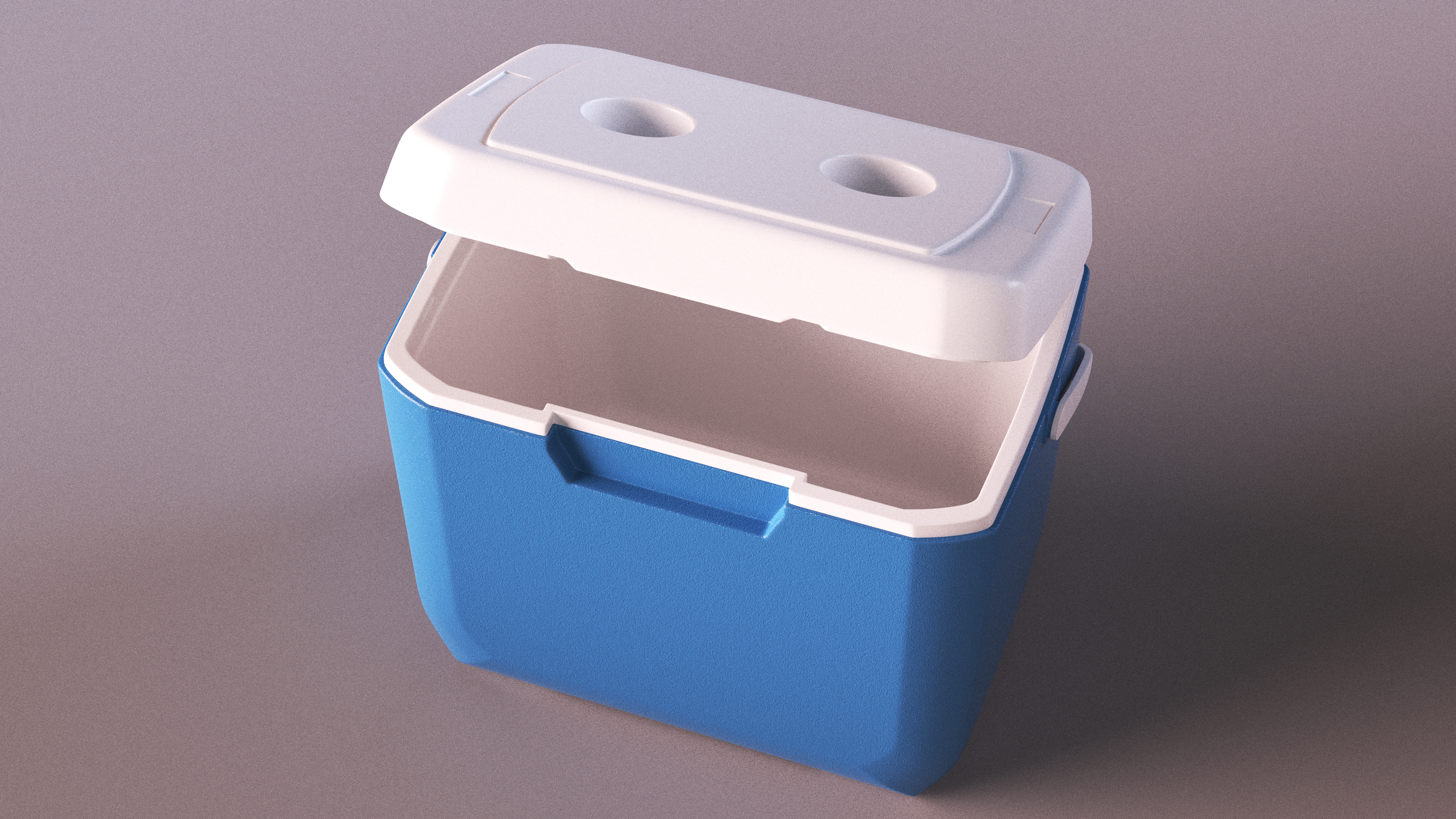 3D Portable 28 Quart Cool Box Rigged model