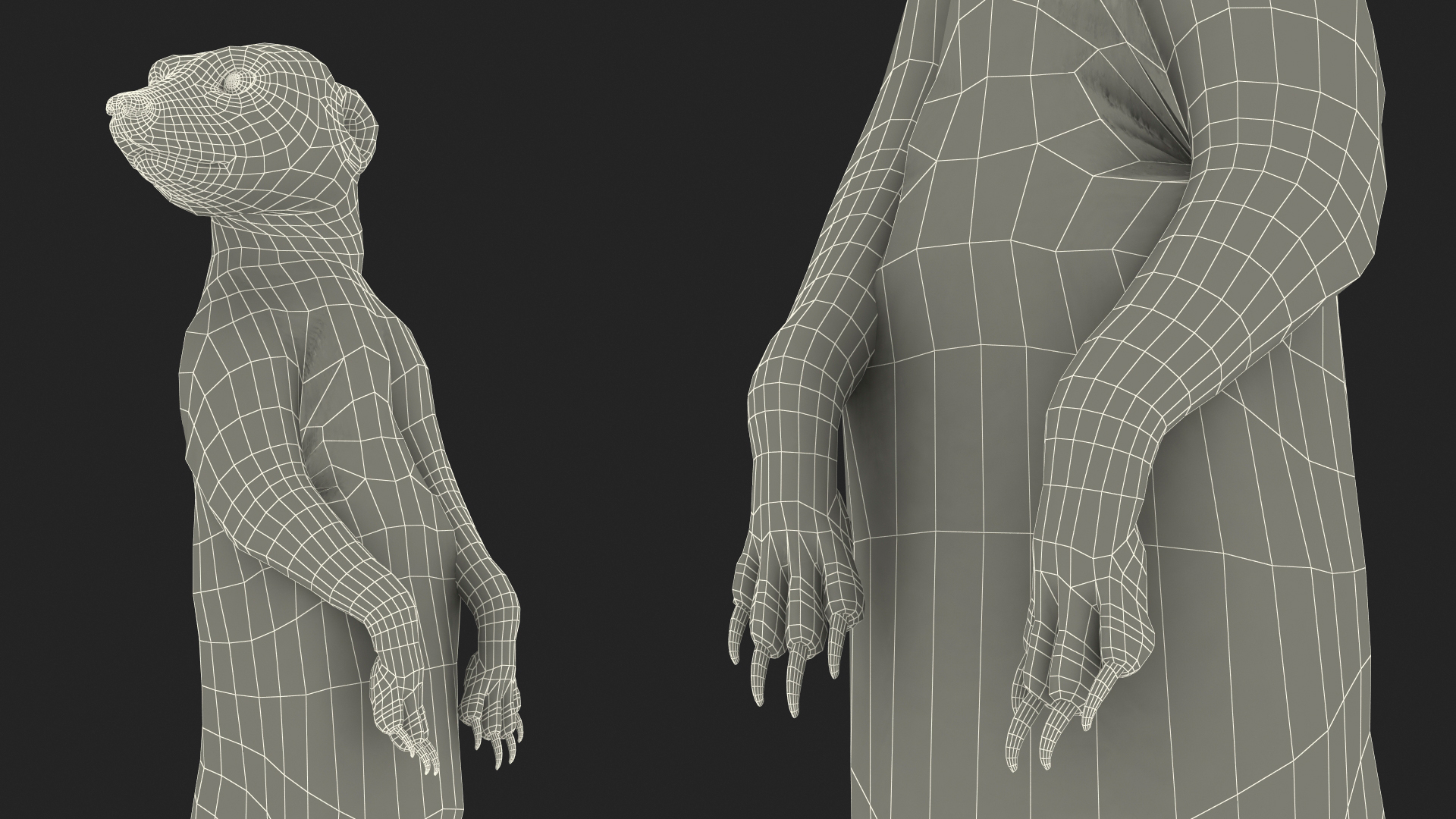 3D model Meerkat Standing Pose Fur