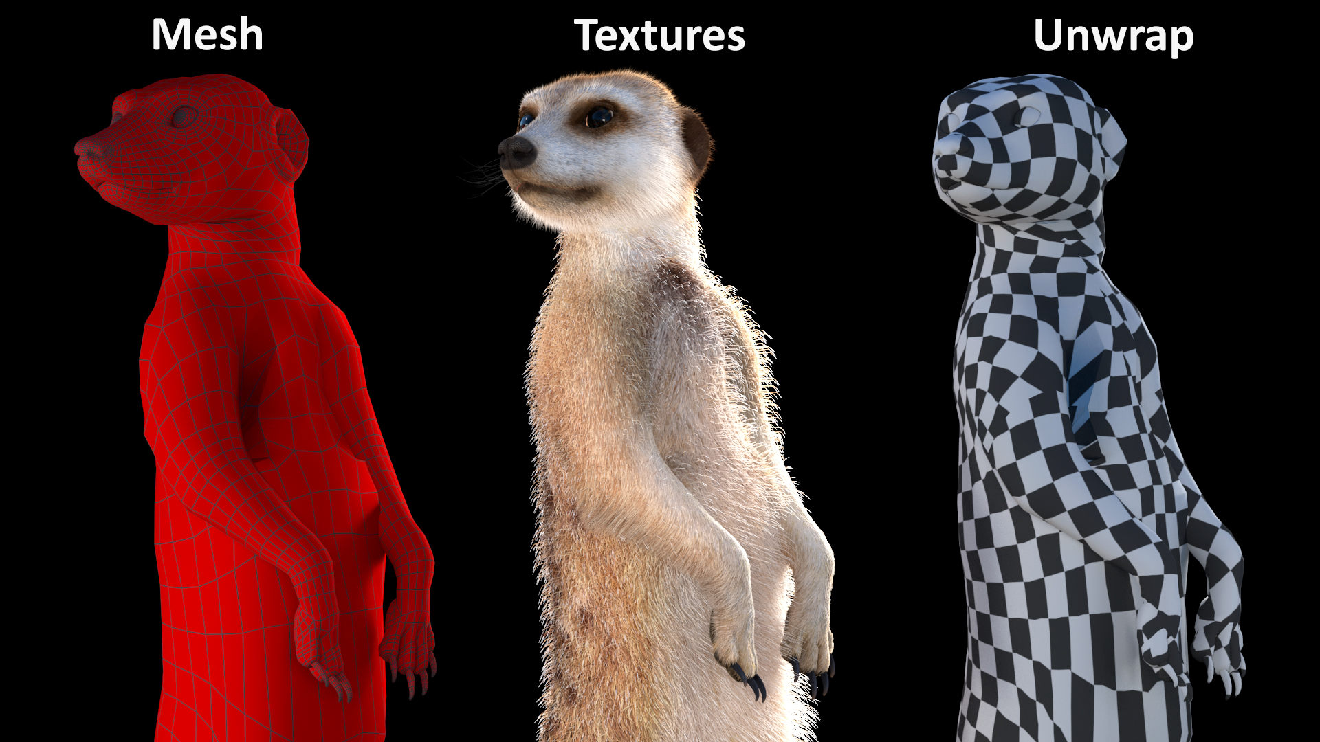 3D model Meerkat Standing Pose Fur