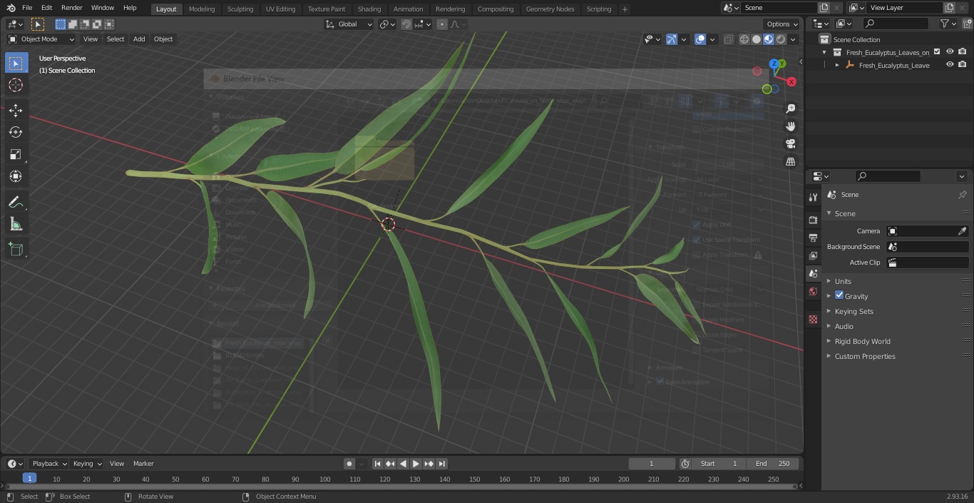 3D Fresh Eucalyptus Leaves on Stem