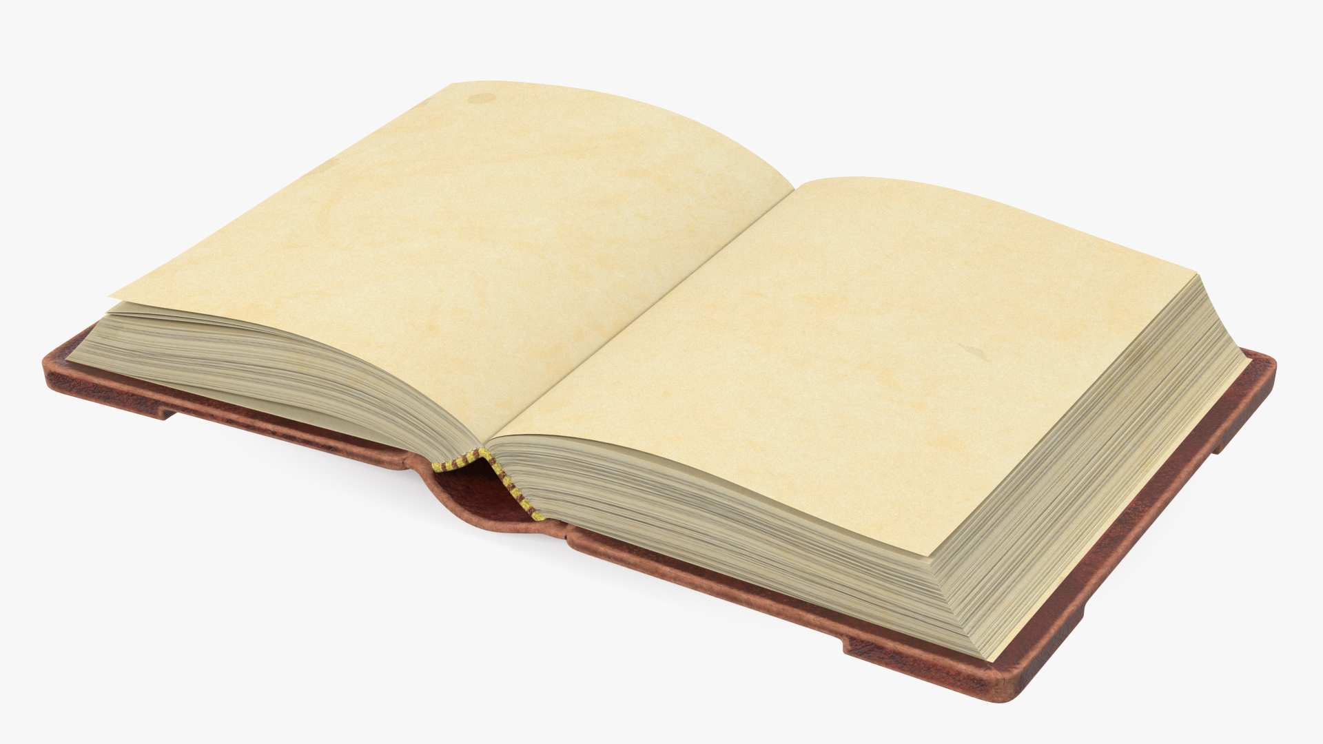 3D Old Brown Ornate Open Book