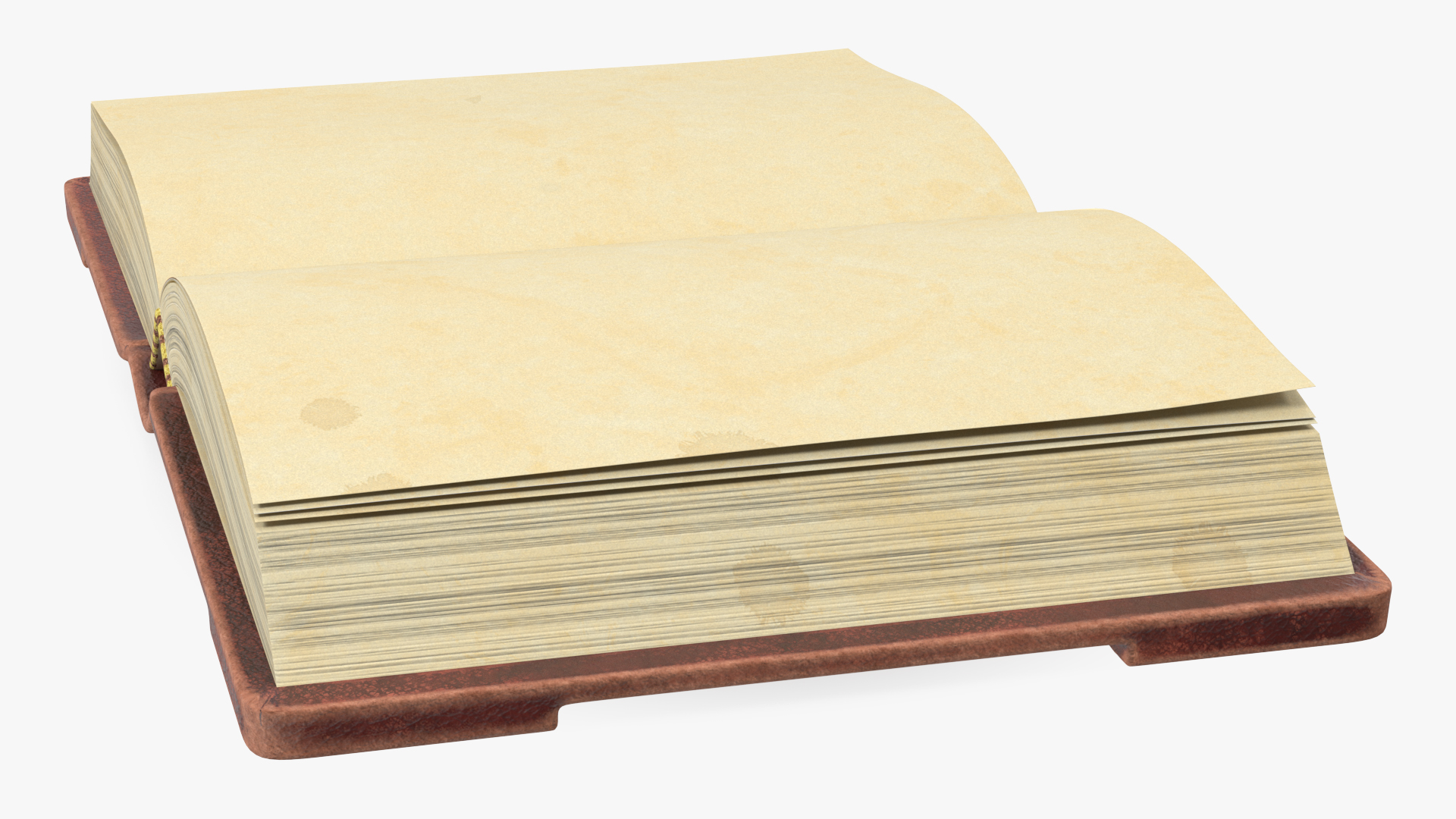 3D Old Brown Ornate Open Book