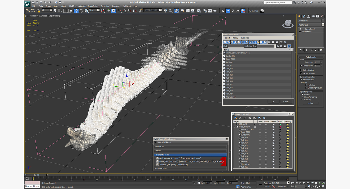 3D Animal Spine Vertebrae Bones model