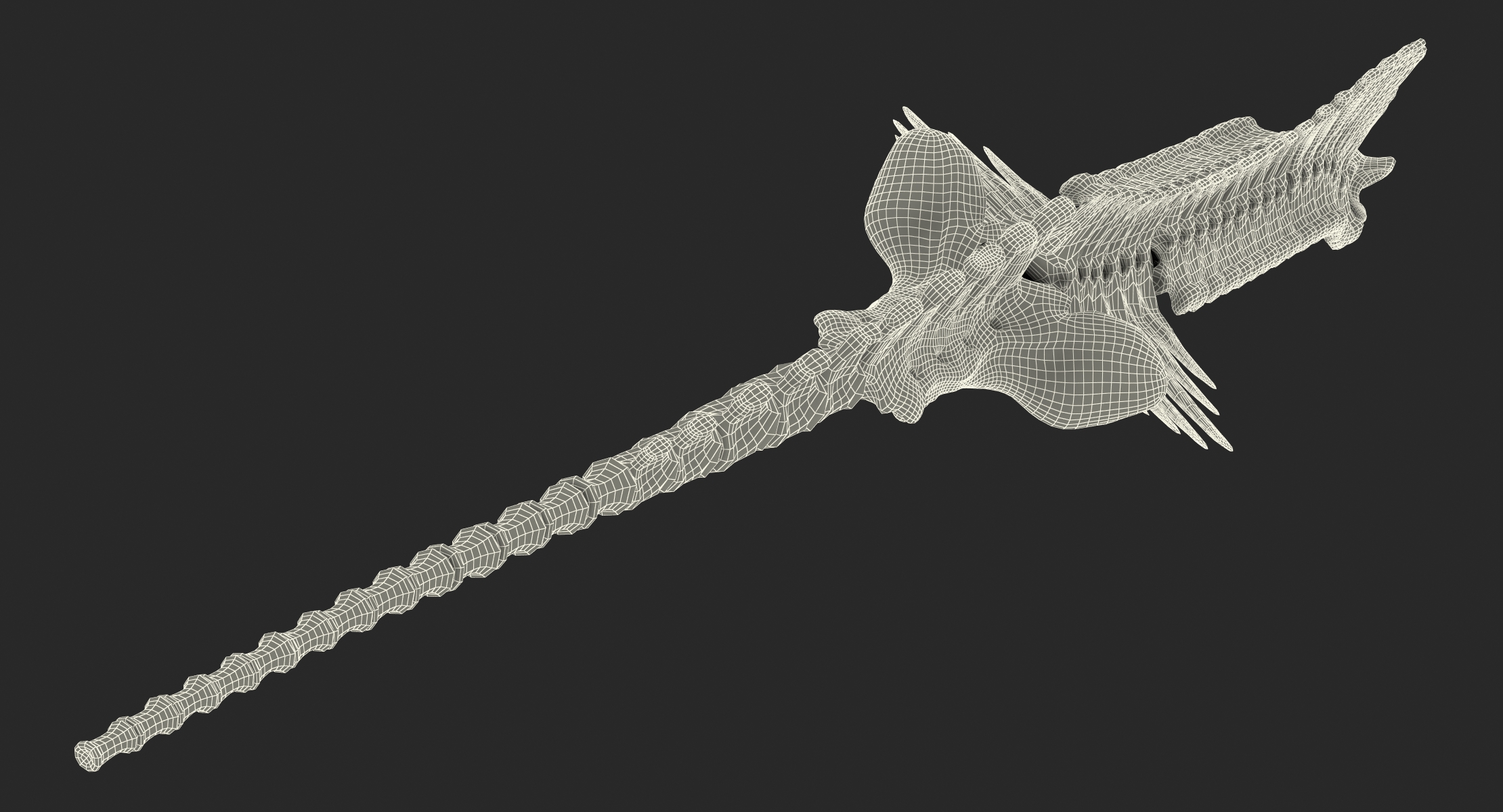 3D Animal Spine Vertebrae Bones model