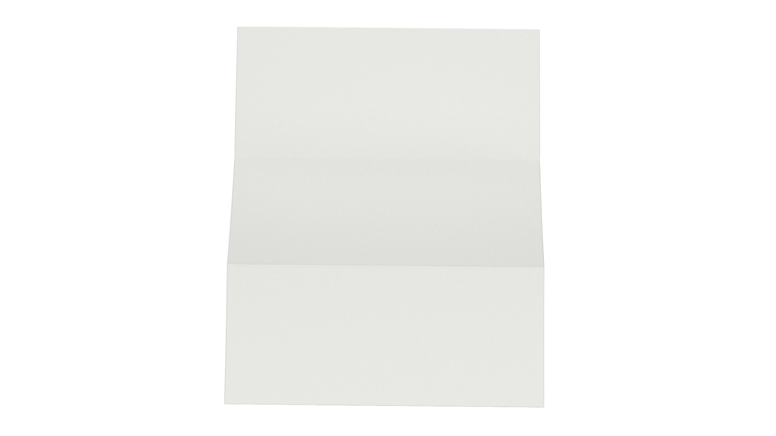 3D Paper Sheet Accordion Folded model