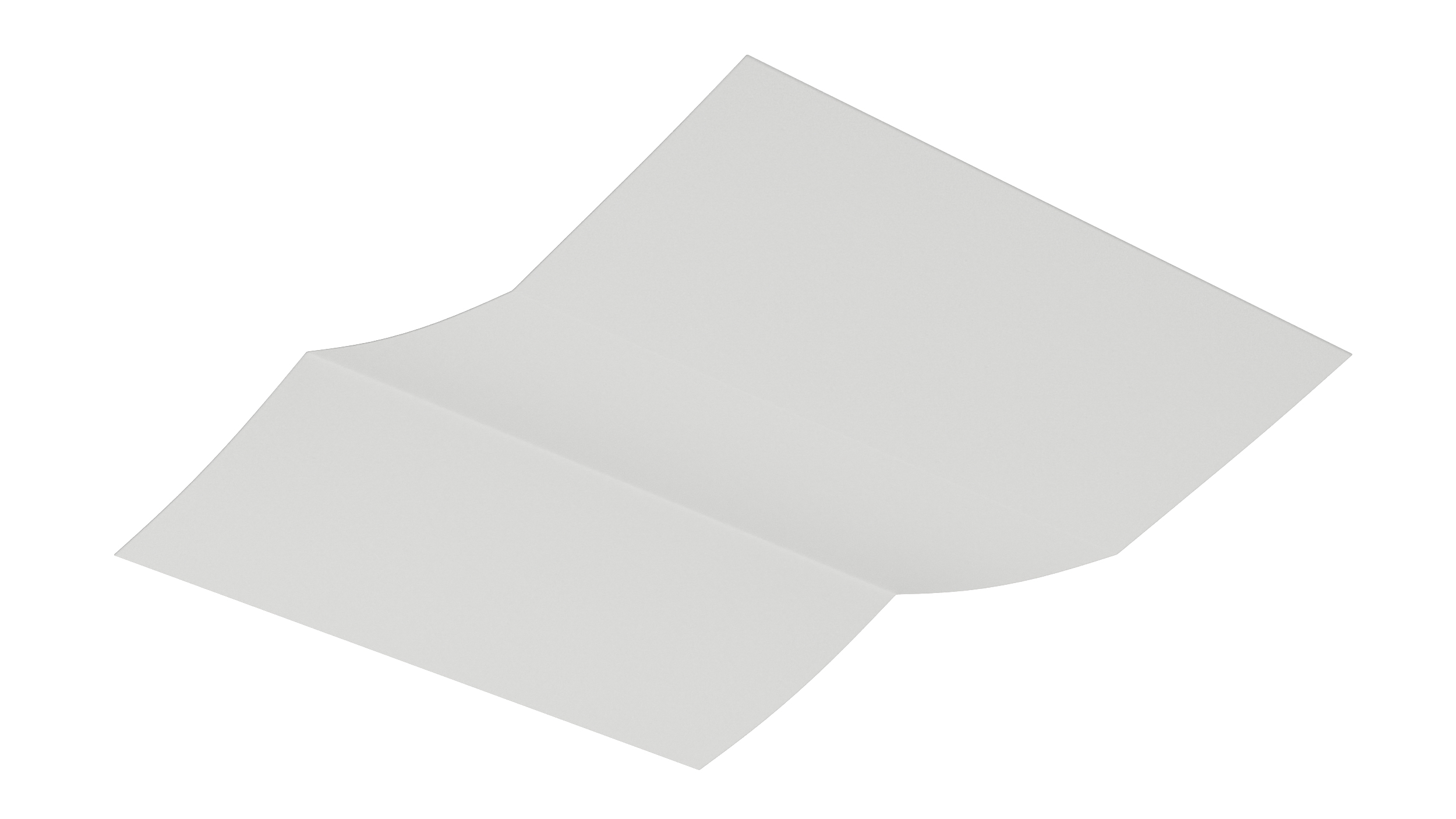 3D Paper Sheet Accordion Folded model