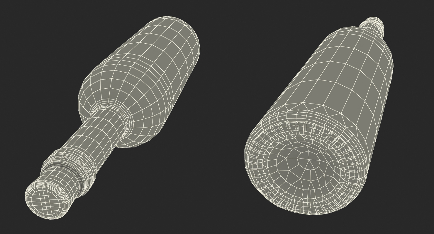 Message in a bottle 3D model