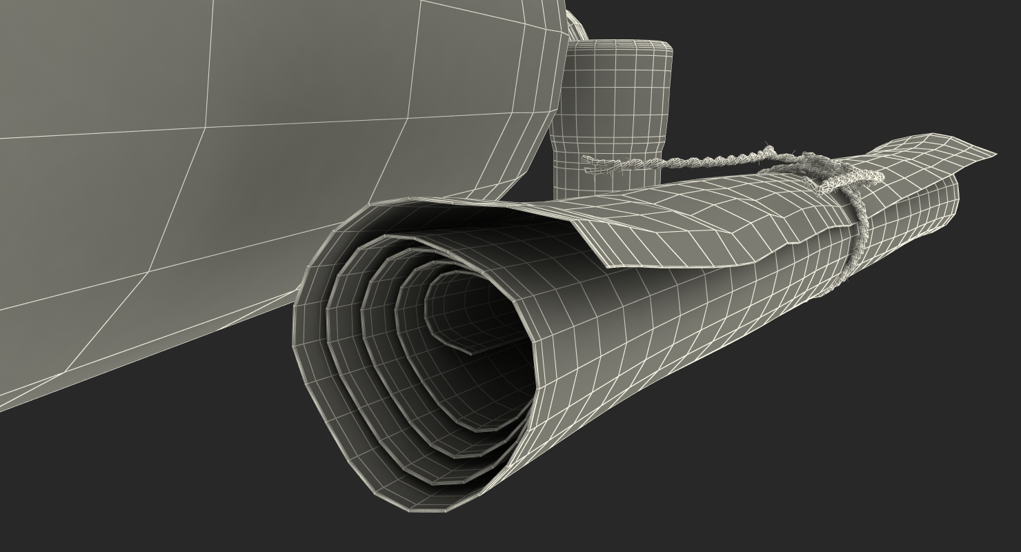 Message in a bottle 3D model
