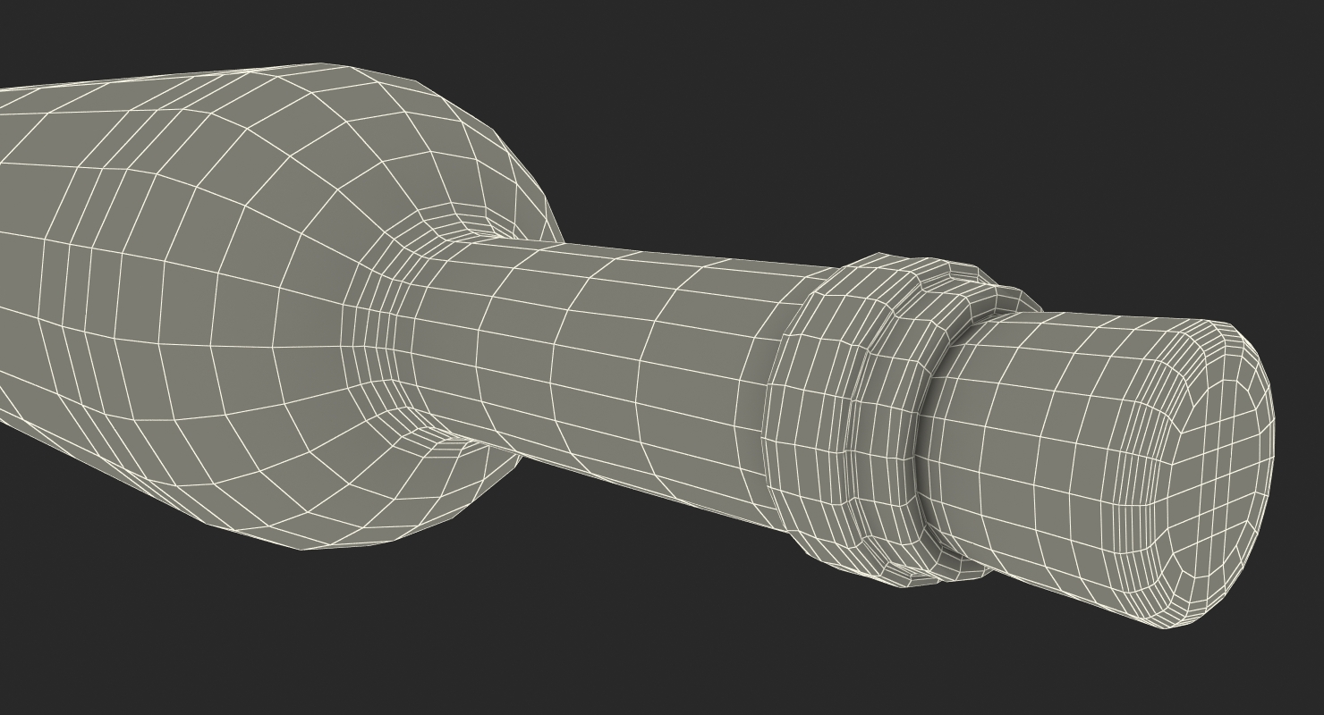 Message in a bottle 3D model