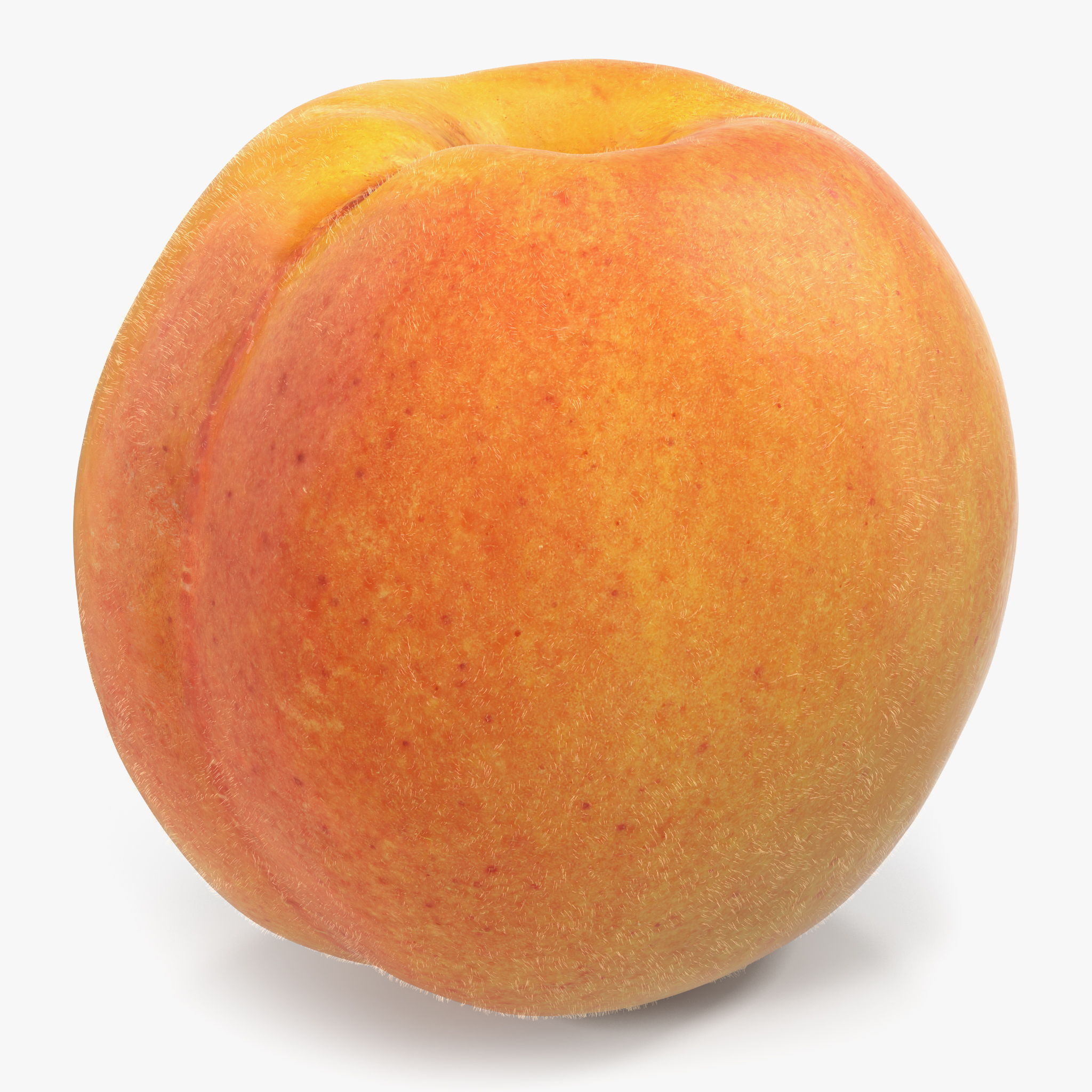 Apricot, view 3