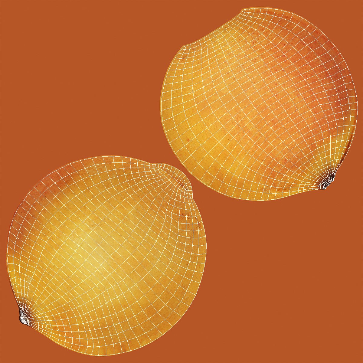Apricot 3D model