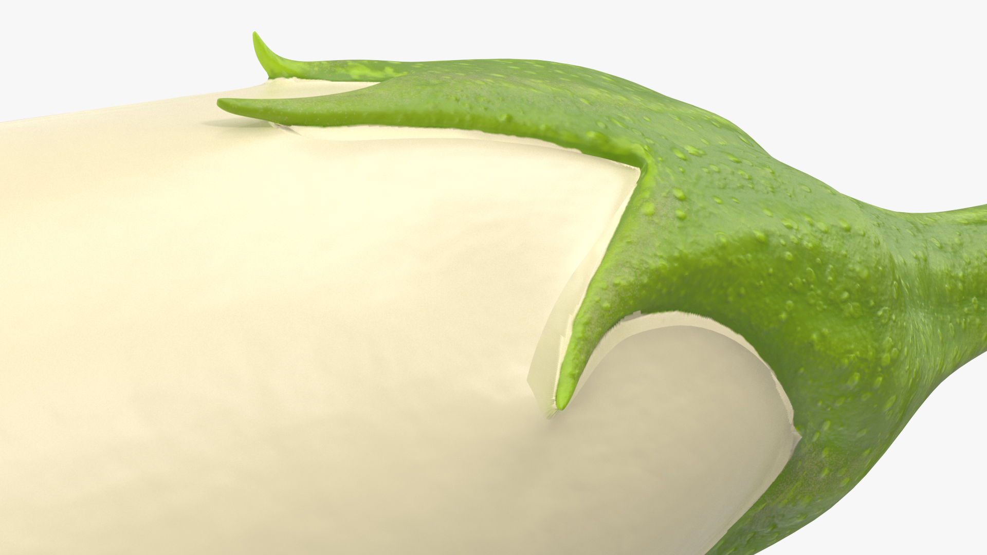 White Eggplant Aubergine 3D model