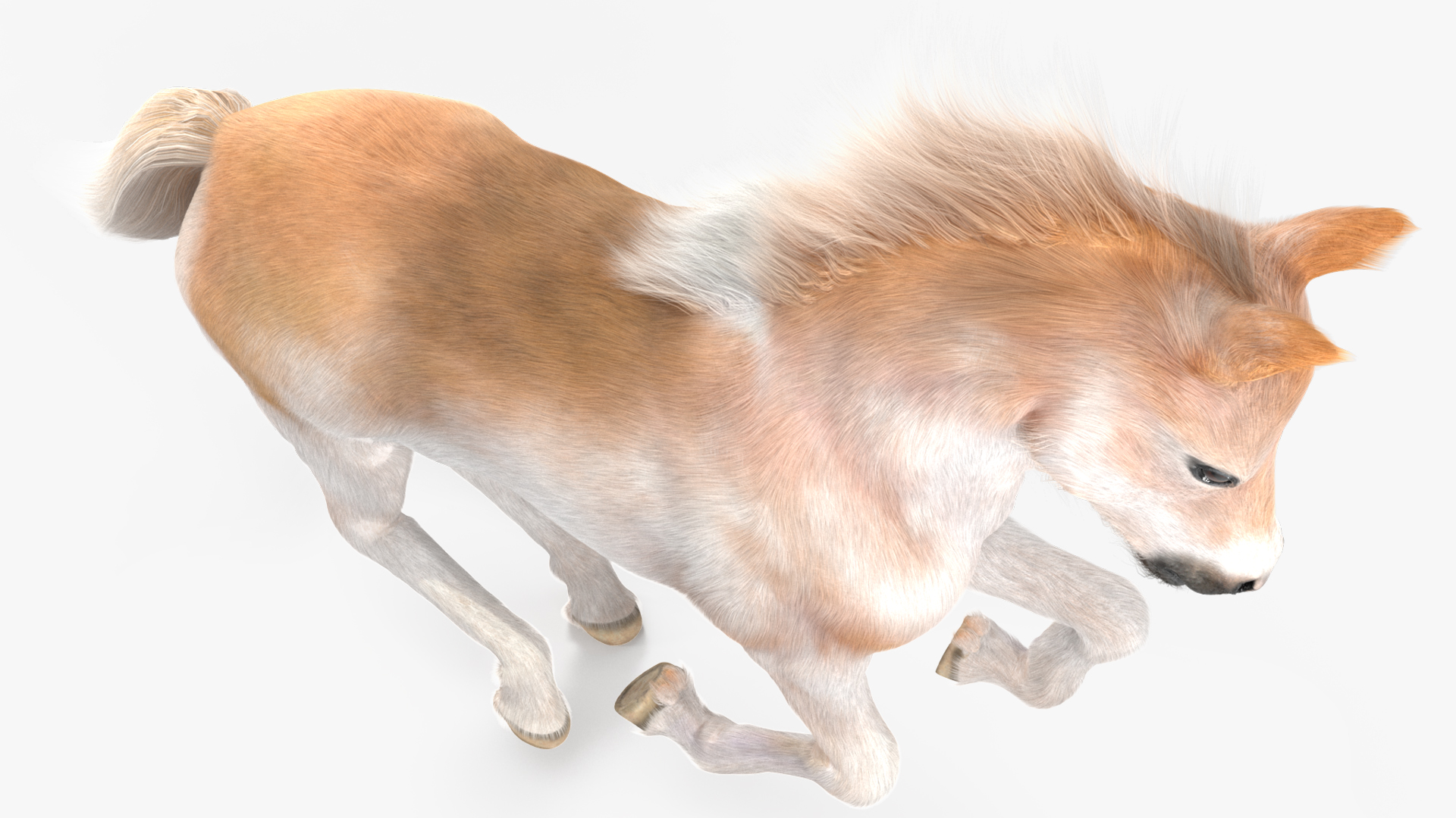 Galloping Shetland Pony Fur 3D