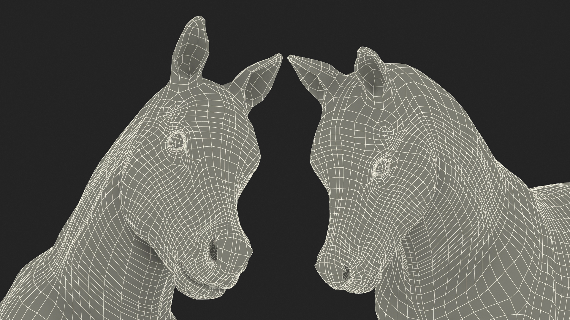 Galloping Shetland Pony Fur 3D