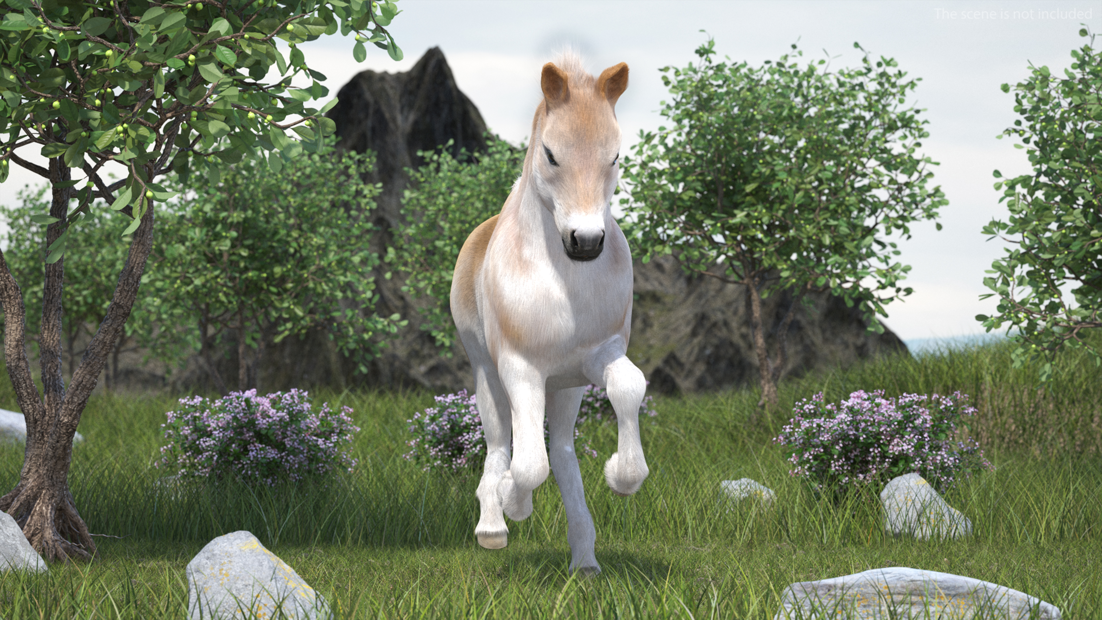 Galloping Shetland Pony Fur 3D