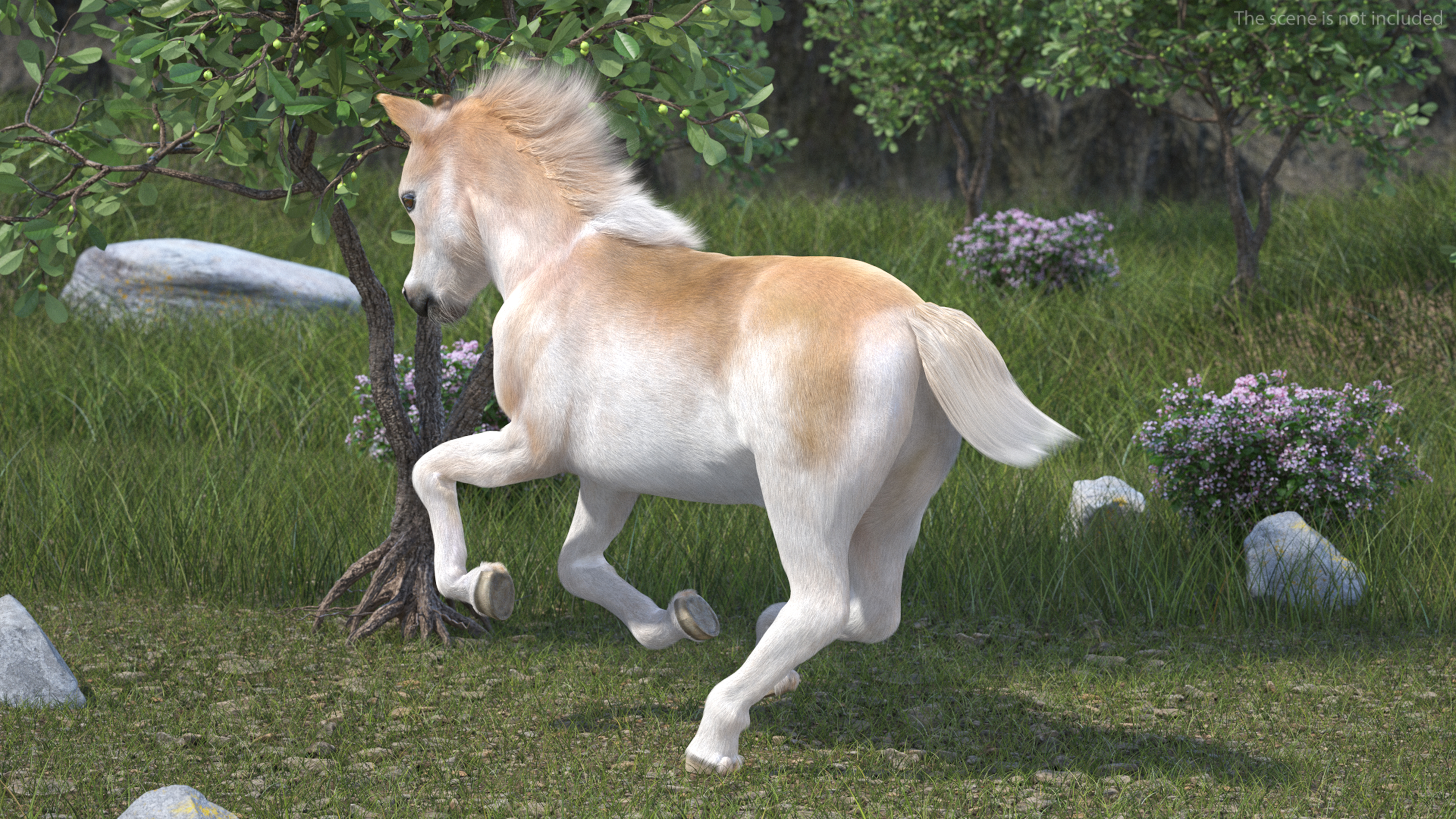 Galloping Shetland Pony Fur 3D