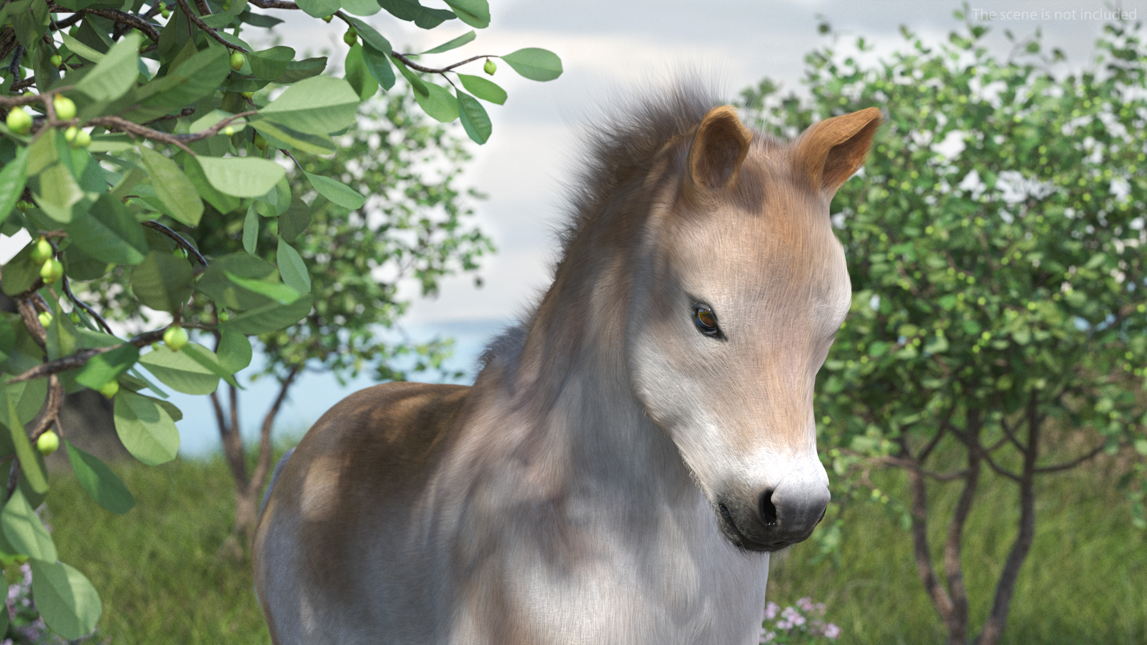 Galloping Shetland Pony Fur 3D