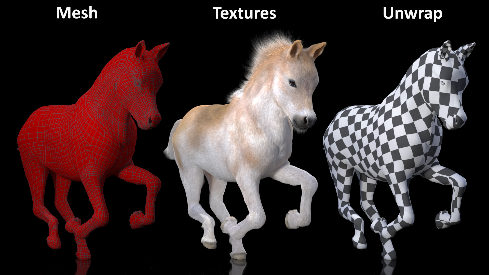 Galloping Shetland Pony Fur 3D