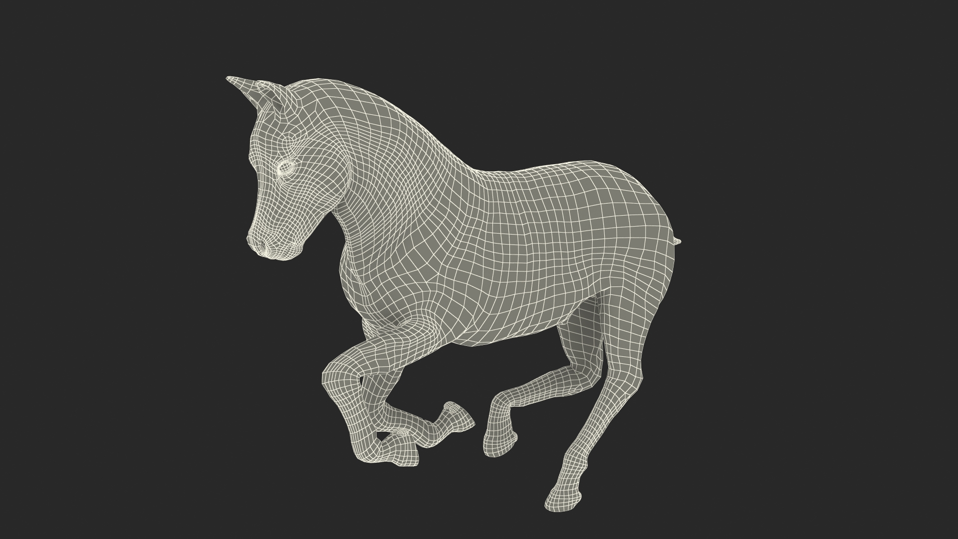 Galloping Shetland Pony Fur 3D