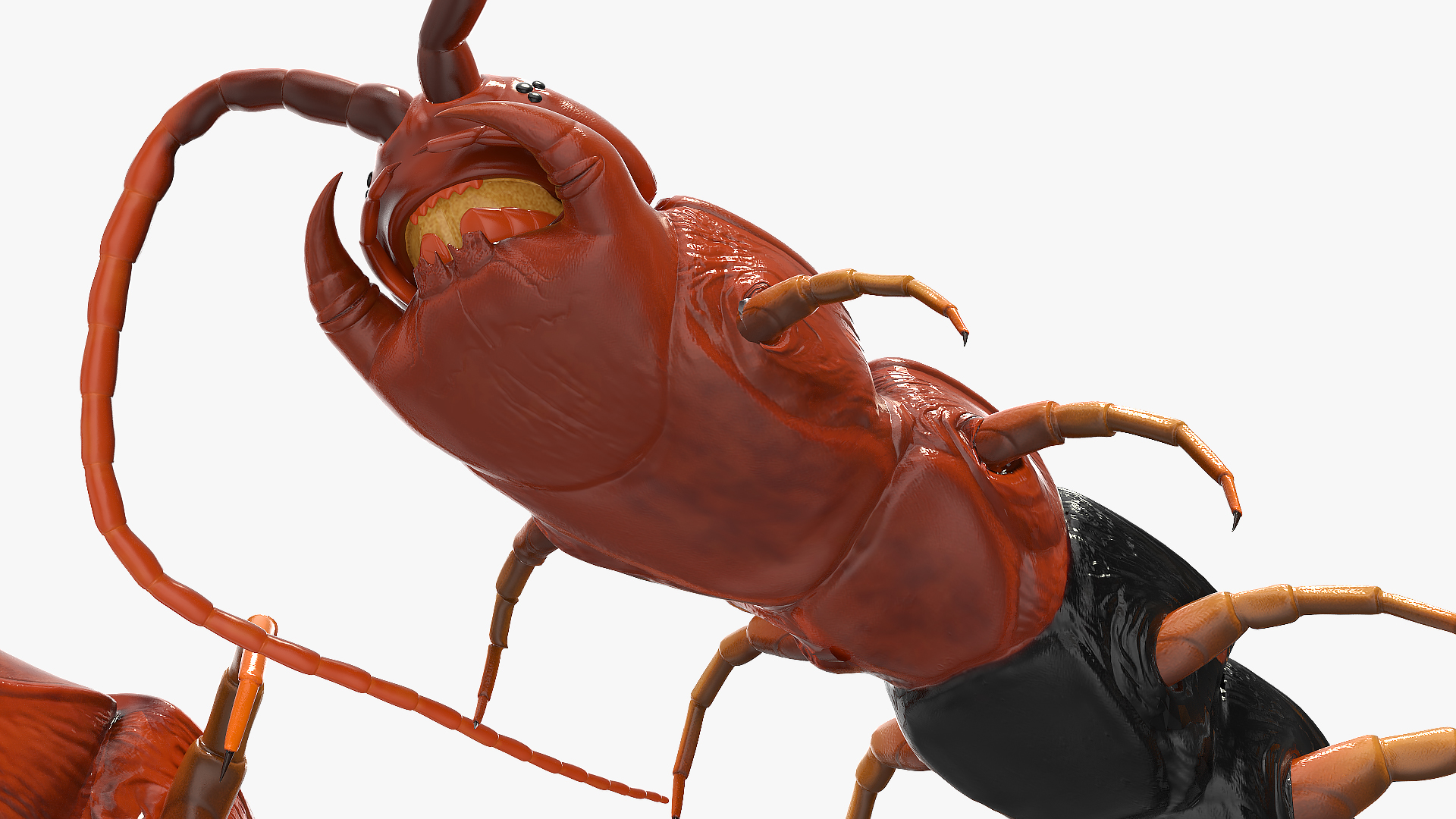 3D model Giant Desert Centipede Scolopendra Heros