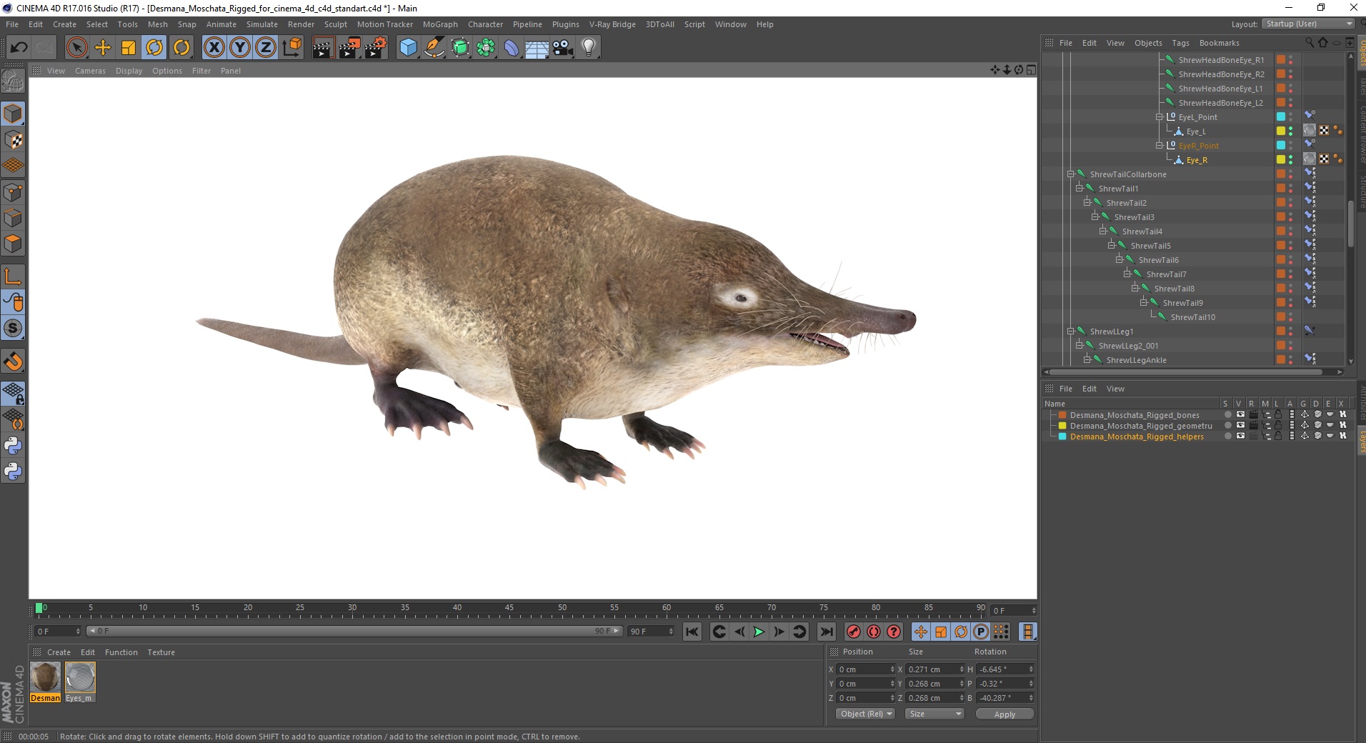 Desmana Moschata Rigged for Cinema 4D 3D