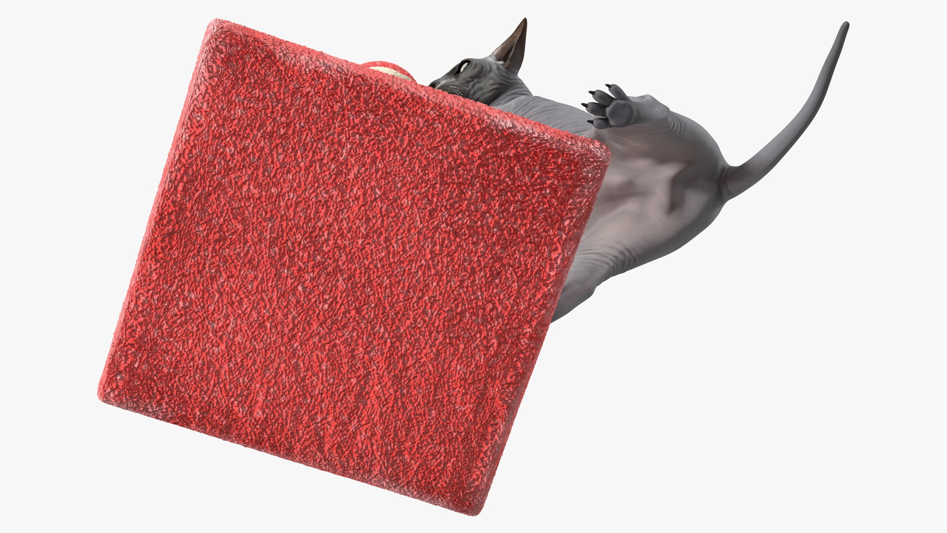 Cat Playing With A Scratching Post 3D model