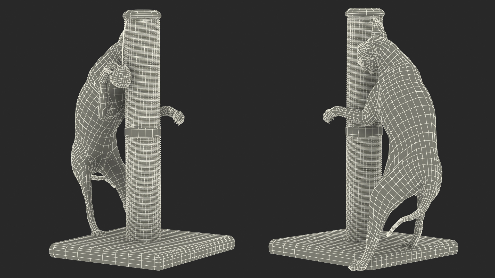 Cat Playing With A Scratching Post 3D model