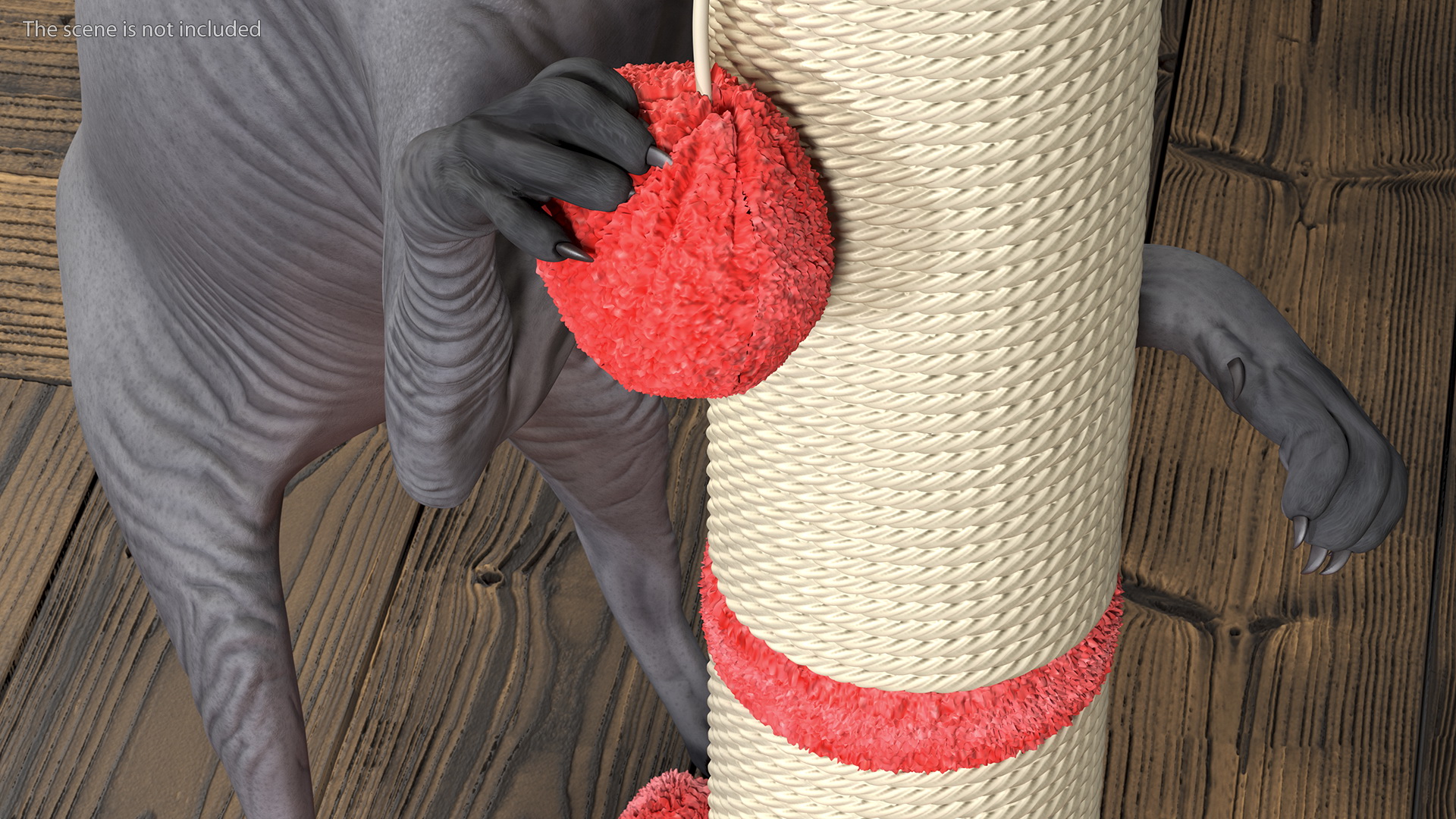 Cat Playing With A Scratching Post 3D model