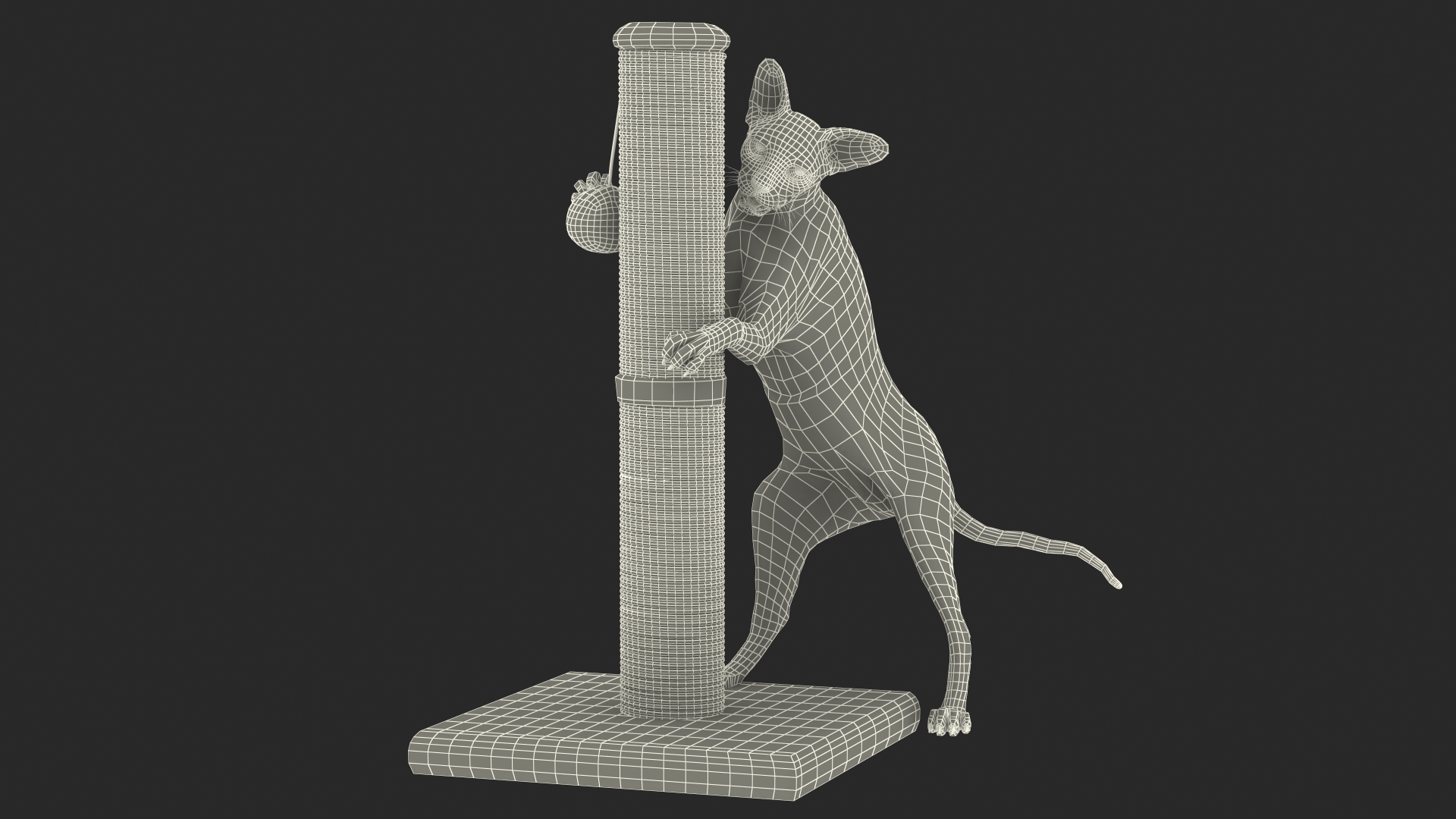 Cat Playing With A Scratching Post 3D model