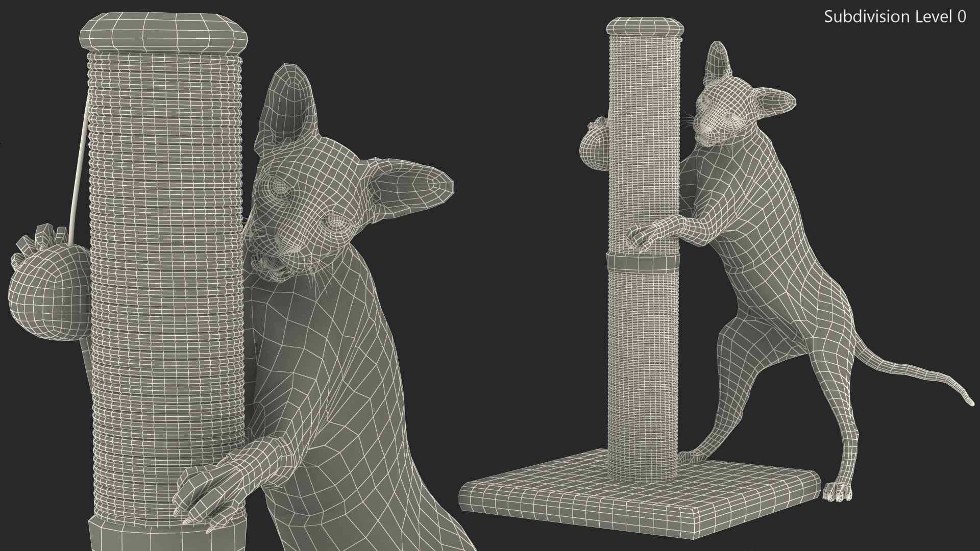 Cat Playing With A Scratching Post 3D model