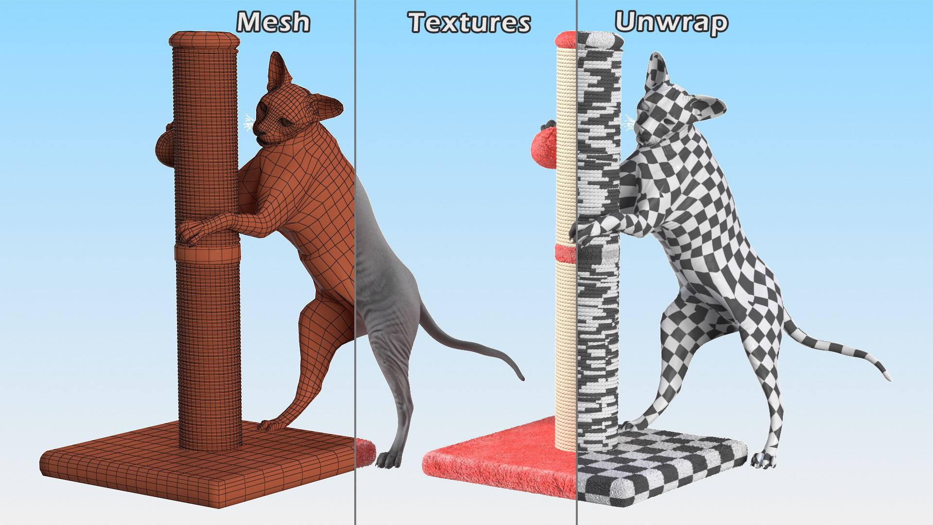 Cat Playing With A Scratching Post 3D model