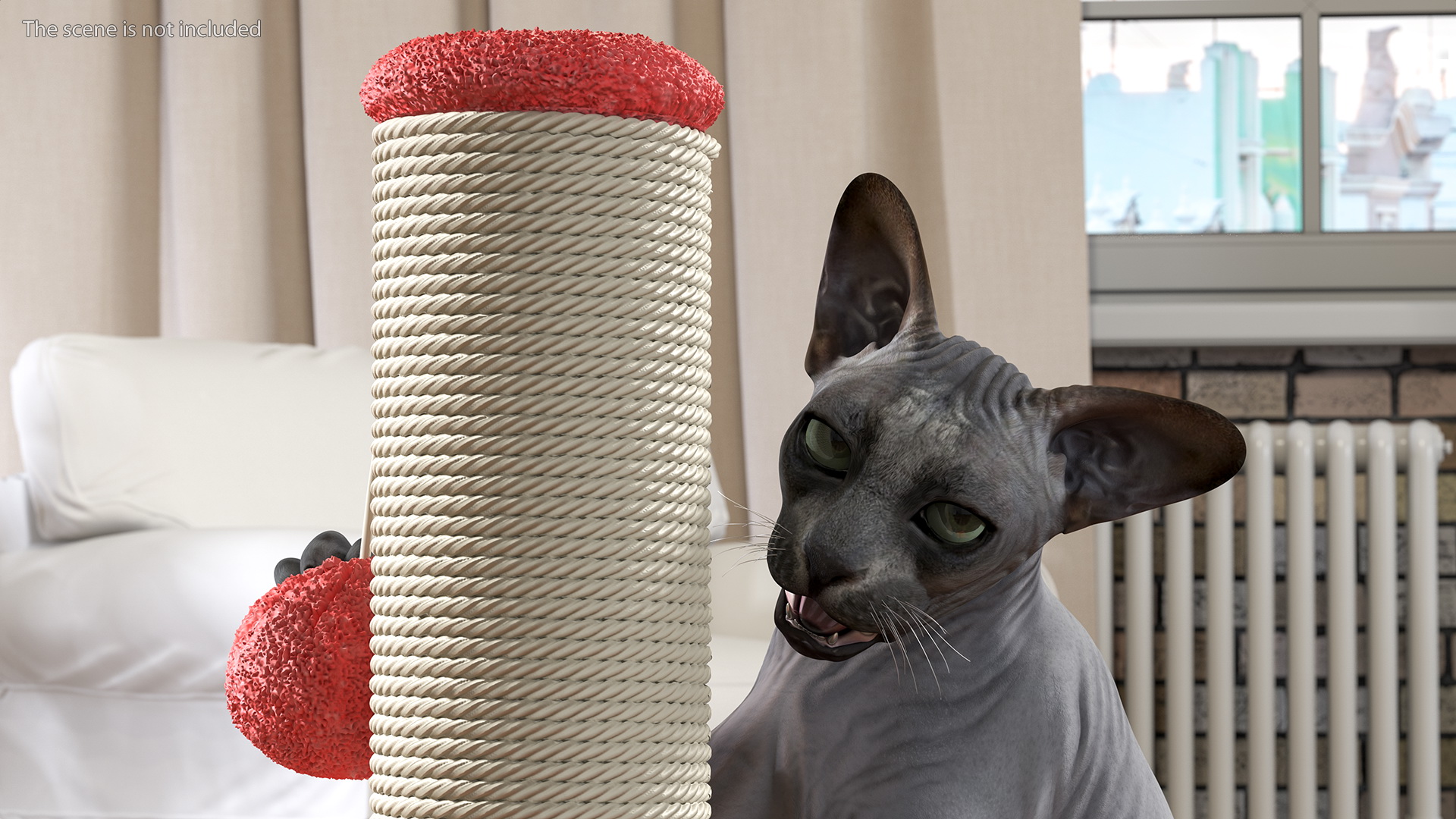 Cat Playing With A Scratching Post 3D model