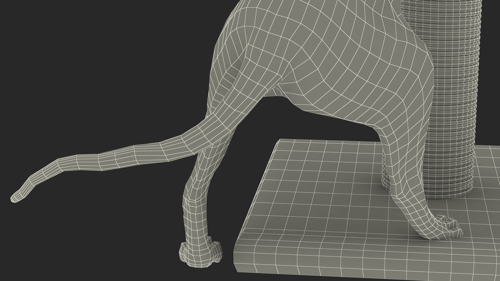 Cat Playing With A Scratching Post 3D model
