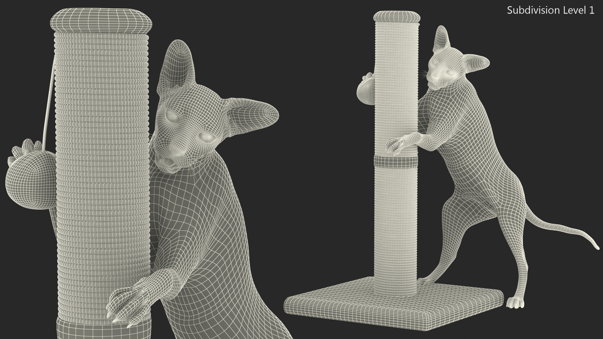 Cat Playing With A Scratching Post 3D model