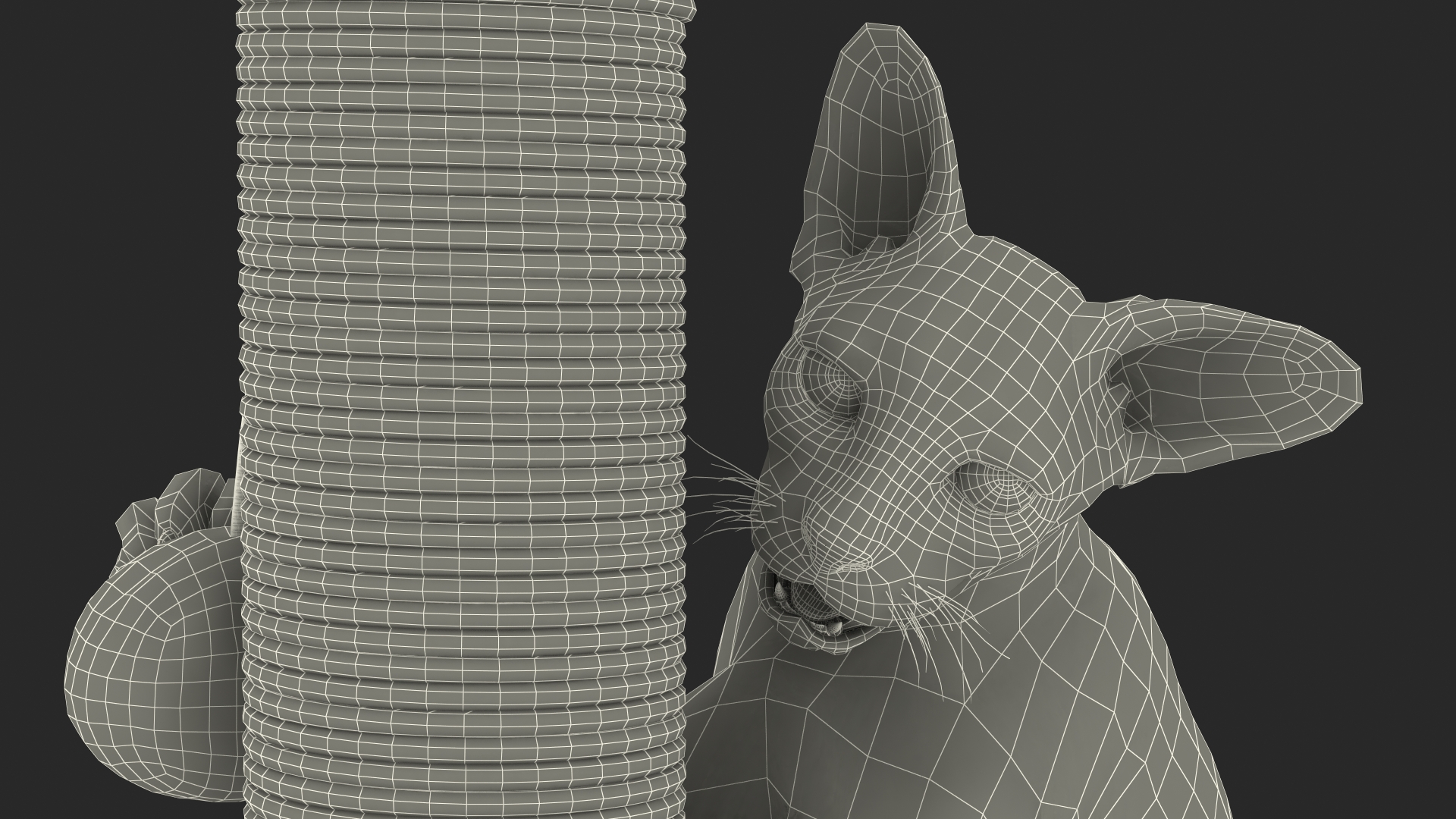 Cat Playing With A Scratching Post 3D model