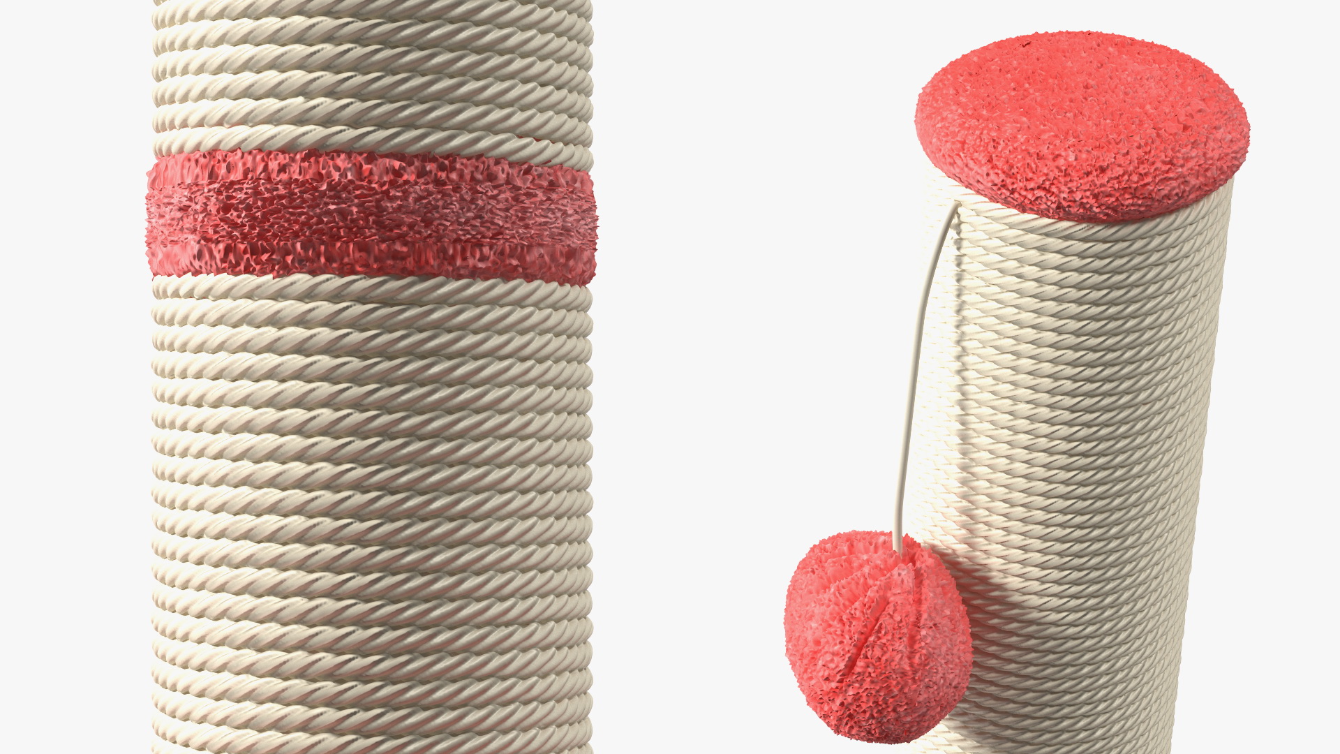 Cat Playing With A Scratching Post 3D model