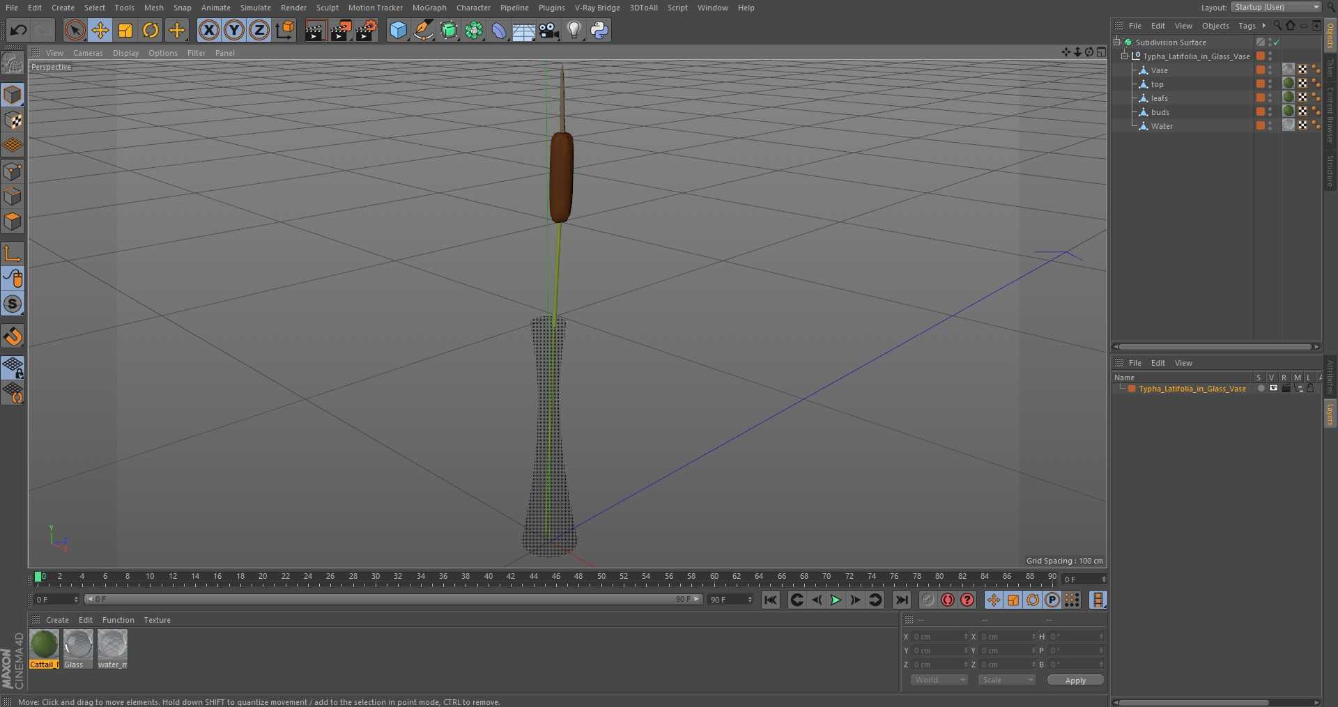Typha Latifolia in Glass Vase 3D model