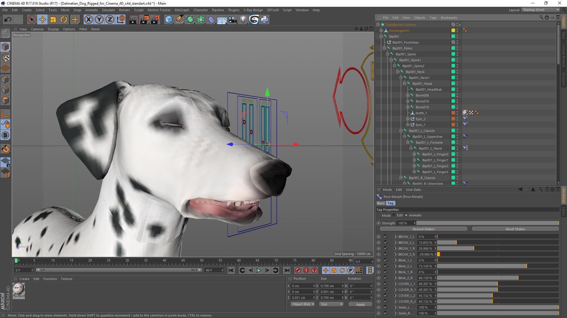 Dalmatian Dog Rigged for Cinema 4D 3D model