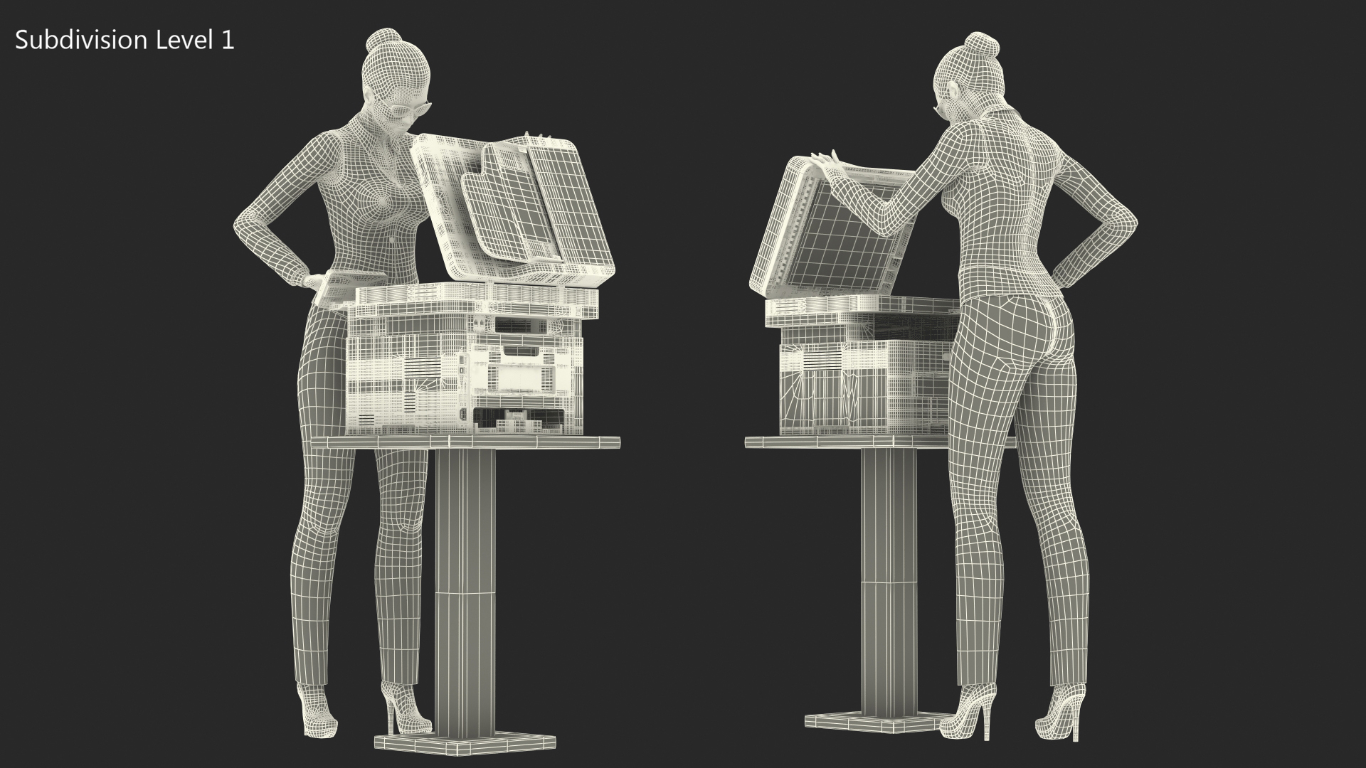 3D Xerox B215 Multifunction Laser Printer with Business Style Woman Rigged